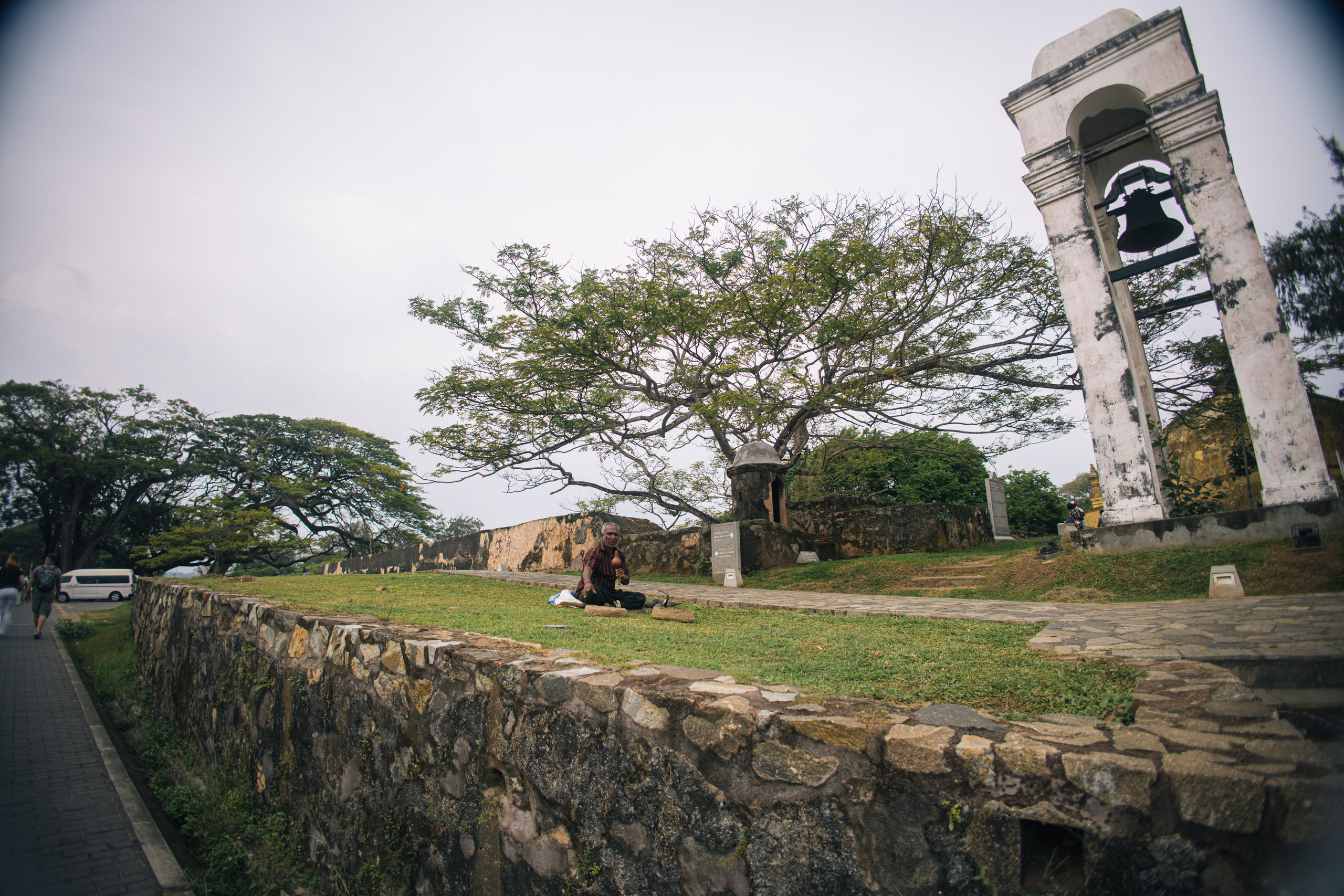 Surf_land. Ведущий на праздник в Москве / Денис Аганин