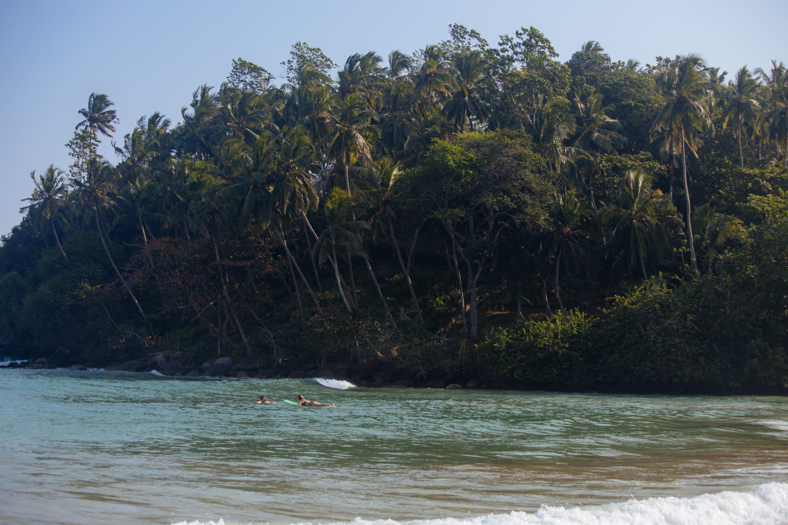Surf_land. Ведущий на праздник в Москве / Денис Аганин