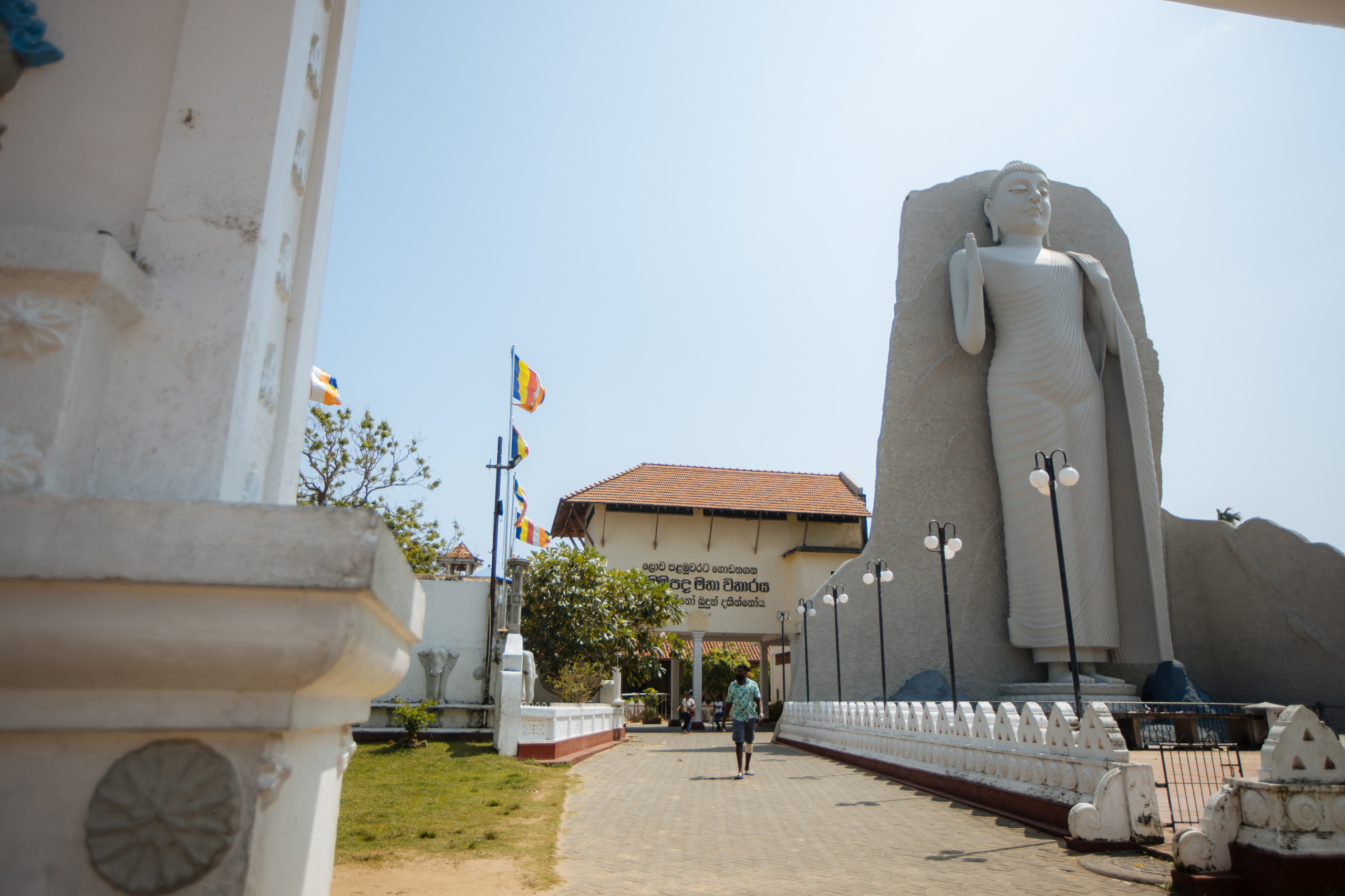 Surf_land. Ведущий на праздник в Москве / Денис Аганин