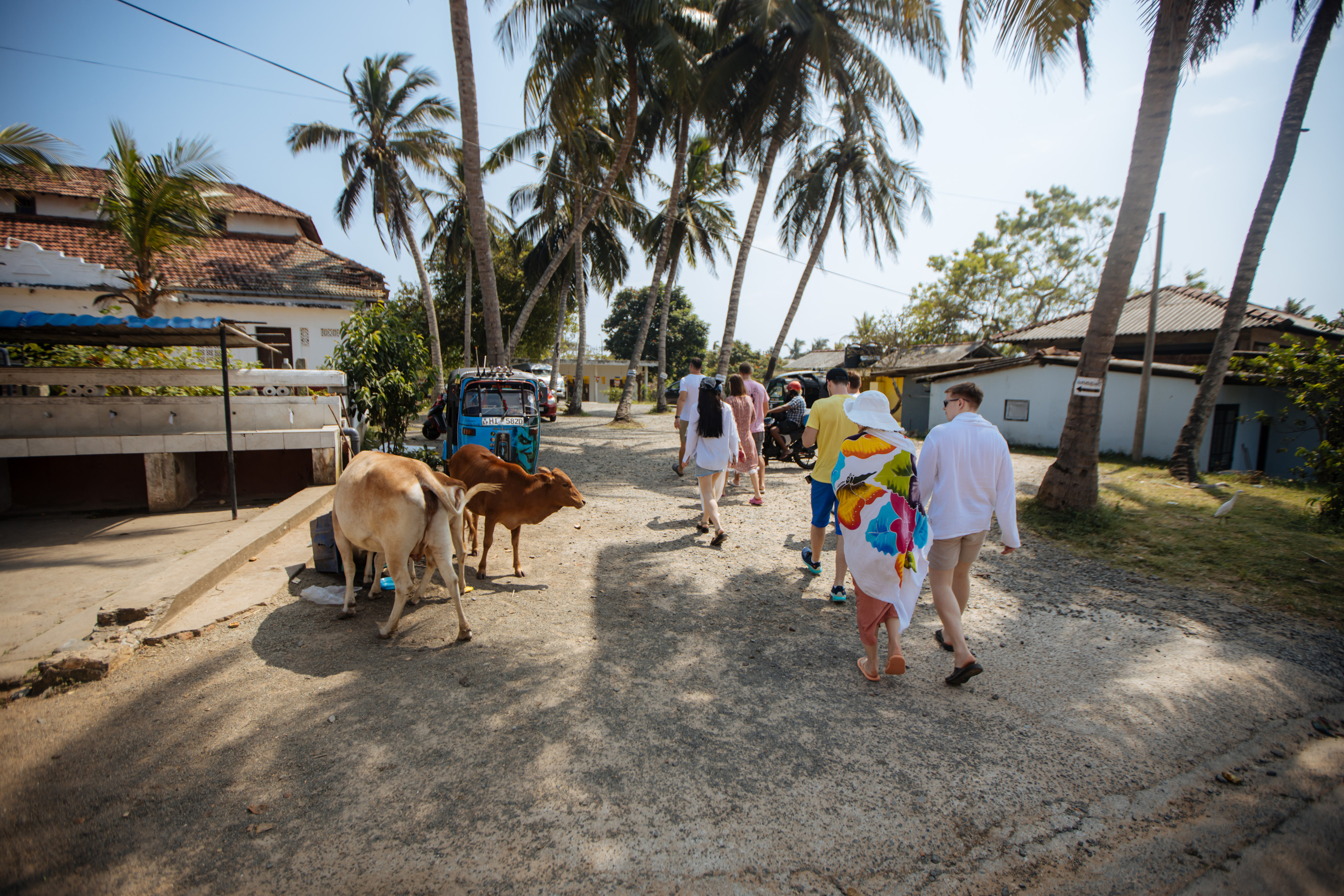 Surf_land. Ведущий на праздник в Москве / Денис Аганин