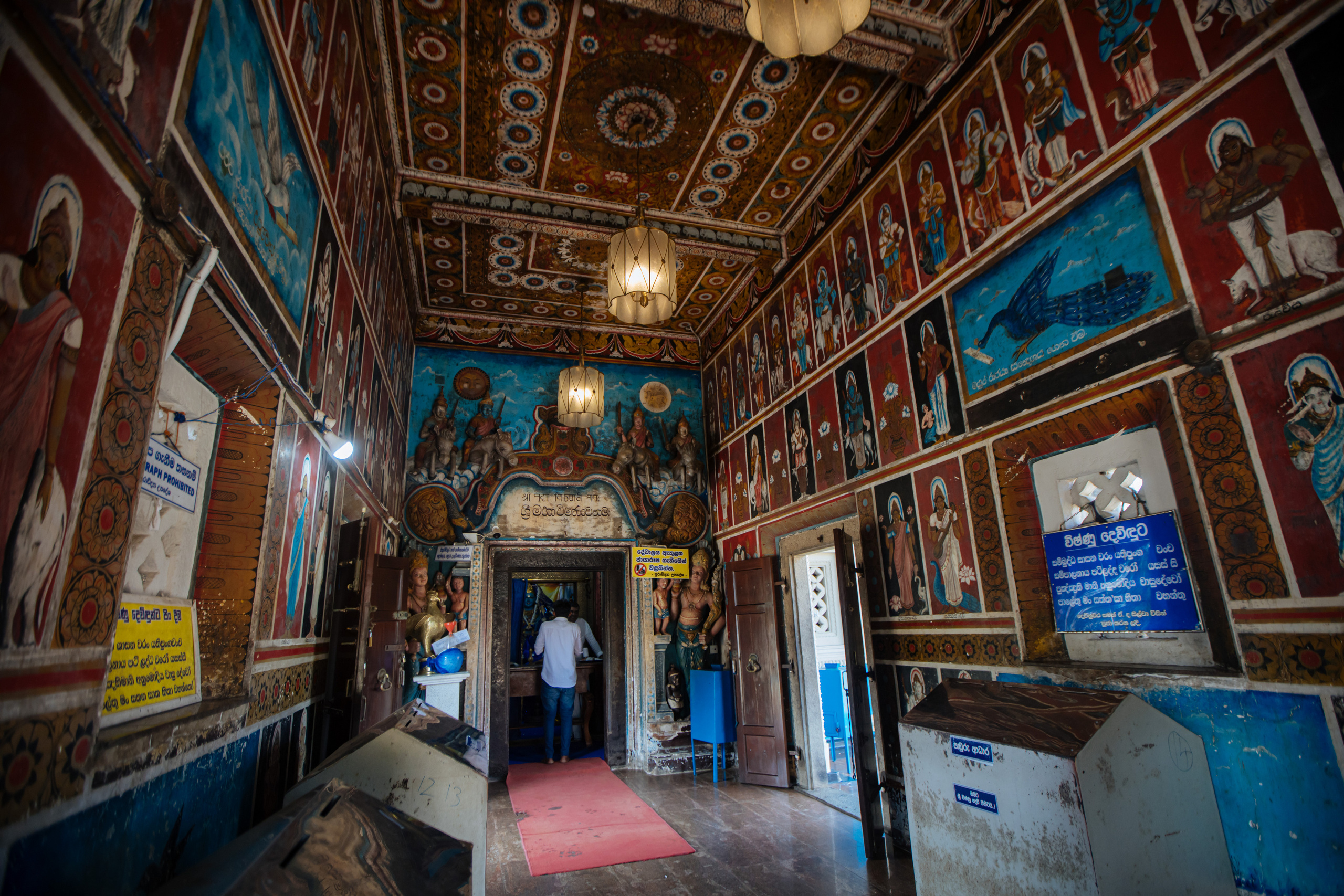 Surf_land. Ведущий на праздник в Москве / Денис Аганин