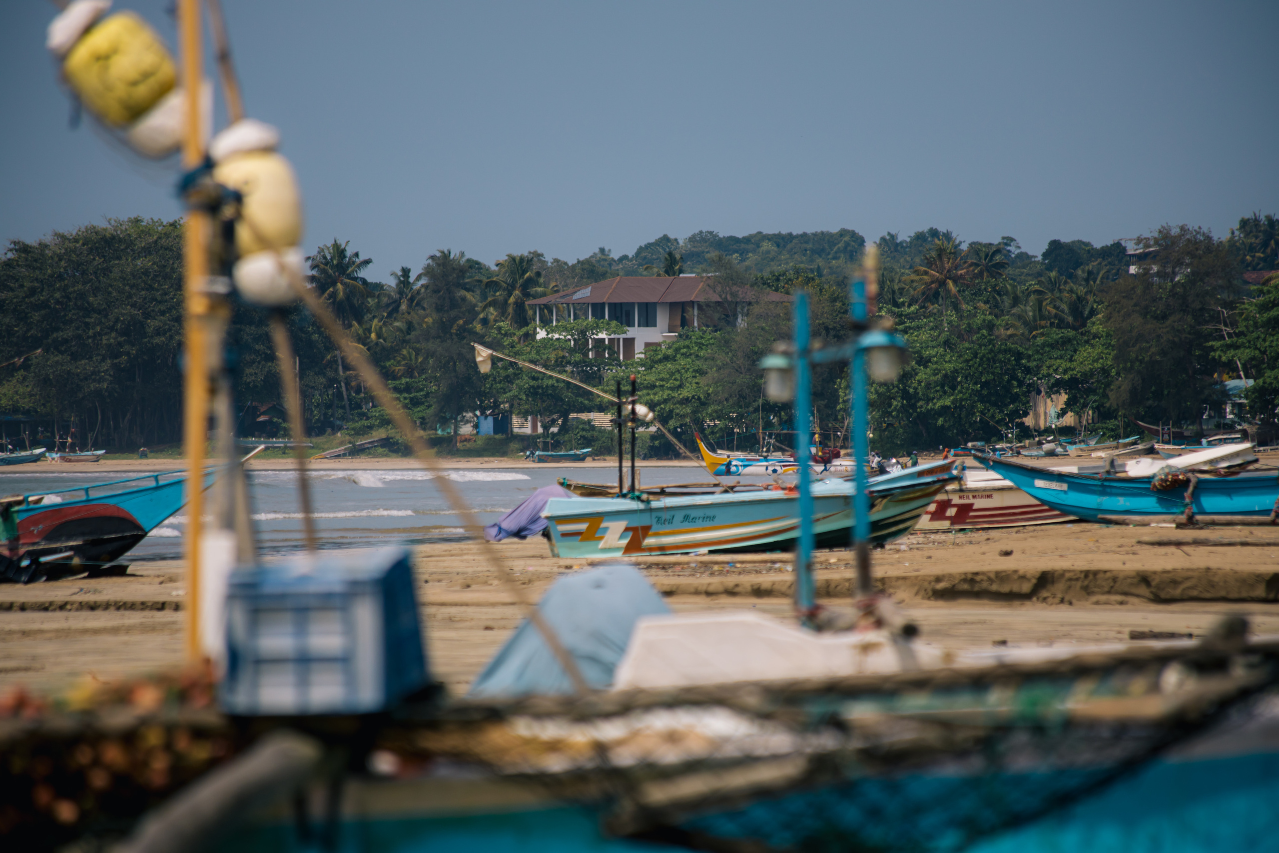 Surf_land. Ведущий на праздник в Москве / Денис Аганин
