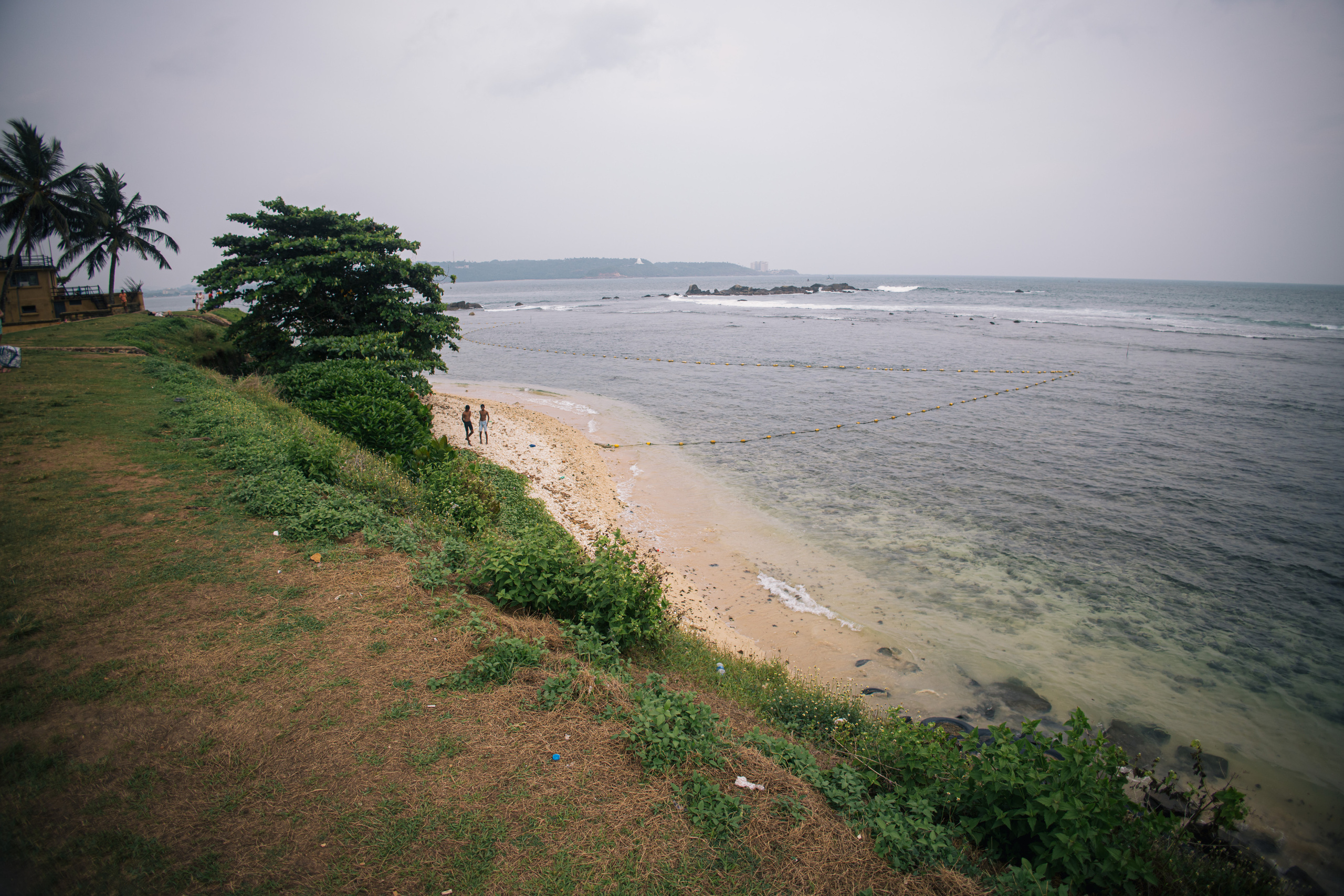 Surf_land. Ведущий на праздник в Москве / Денис Аганин