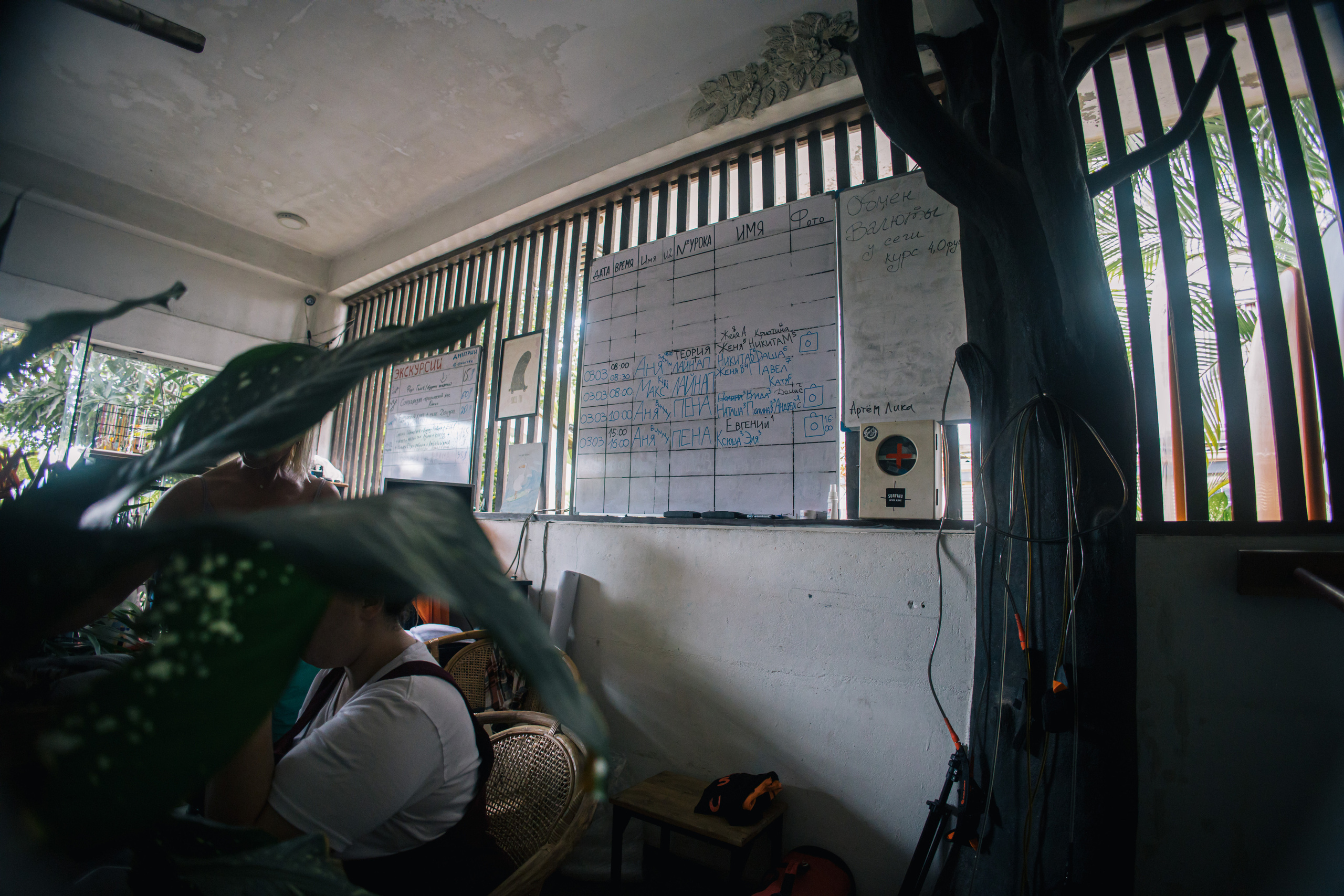 Surf_land. Ведущий на праздник в Москве / Денис Аганин