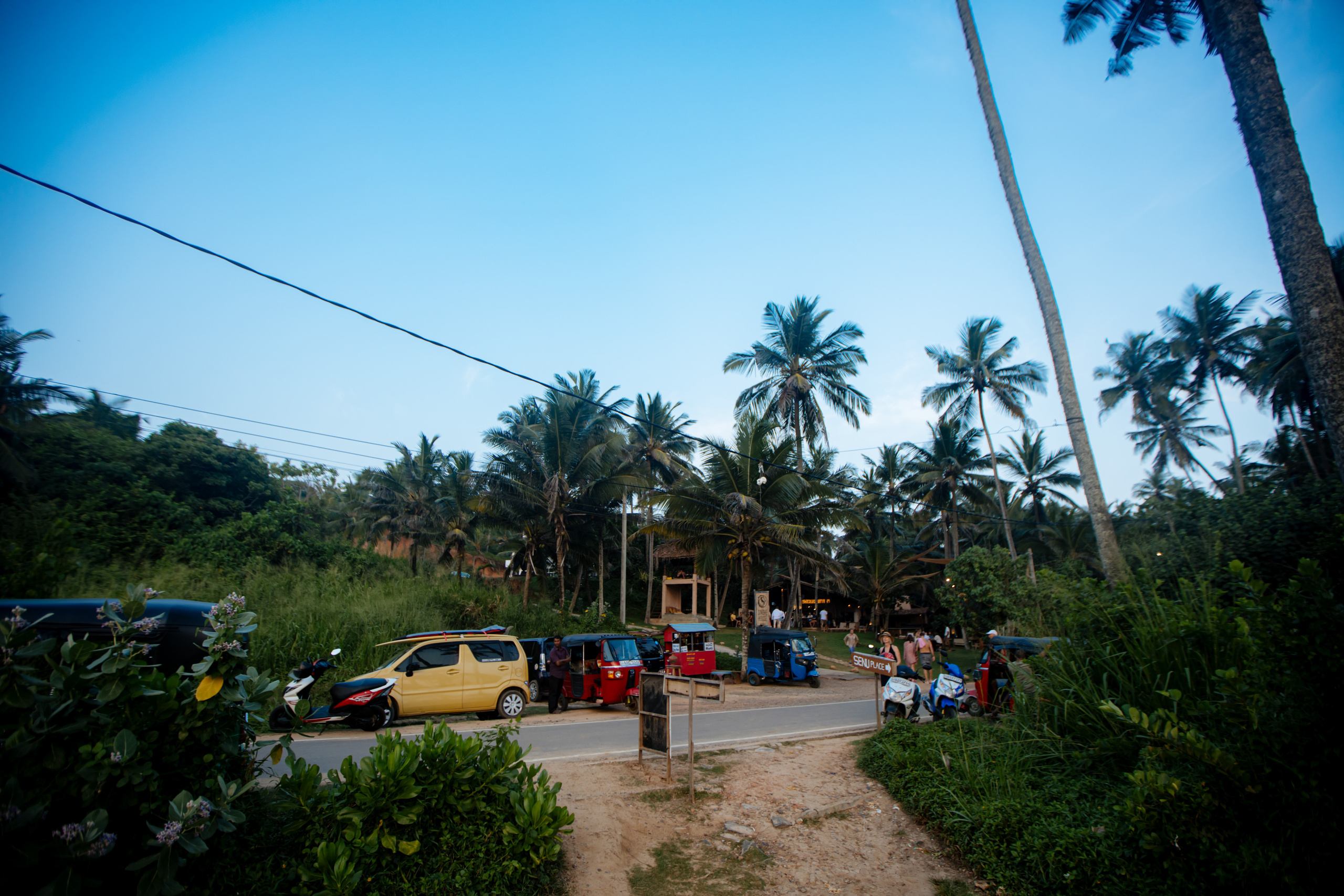Surf_land. Ведущий на праздник в Москве / Денис Аганин