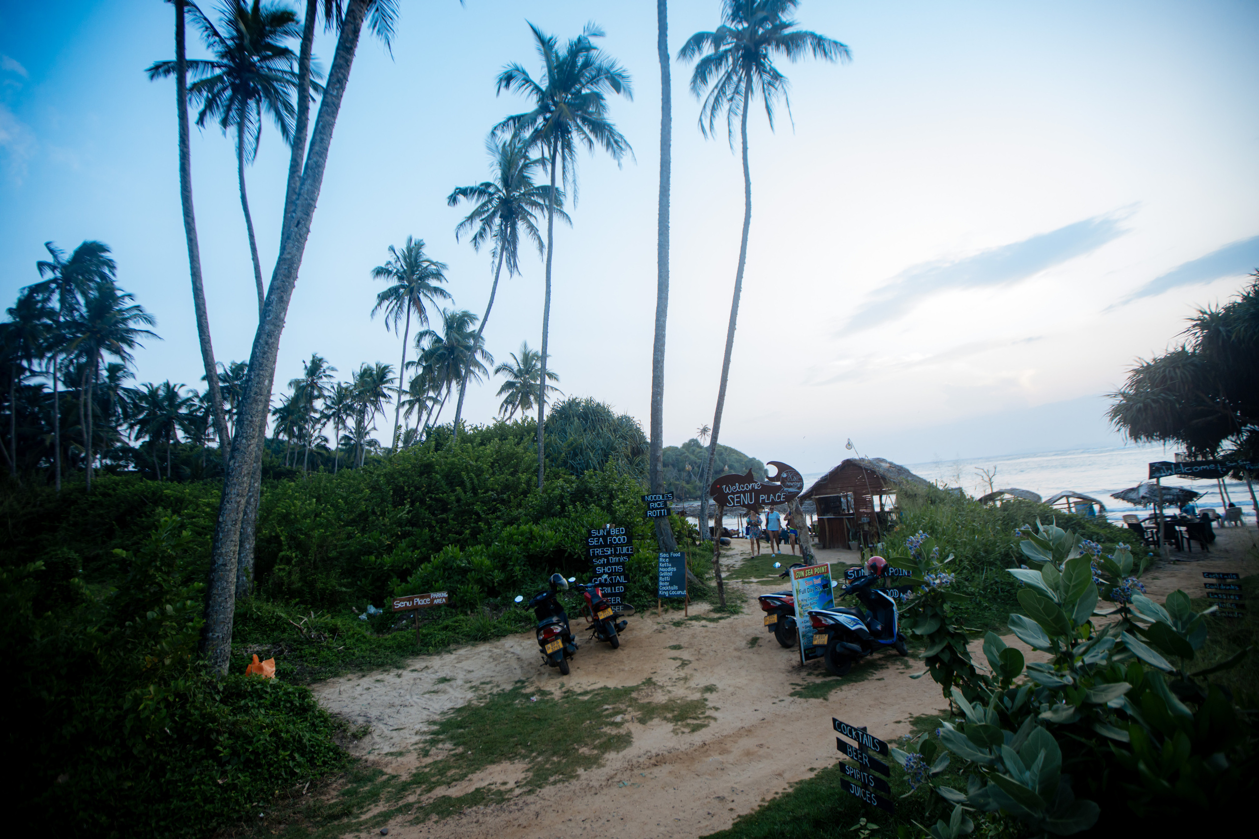 Surf_land. Ведущий на праздник в Москве / Денис Аганин