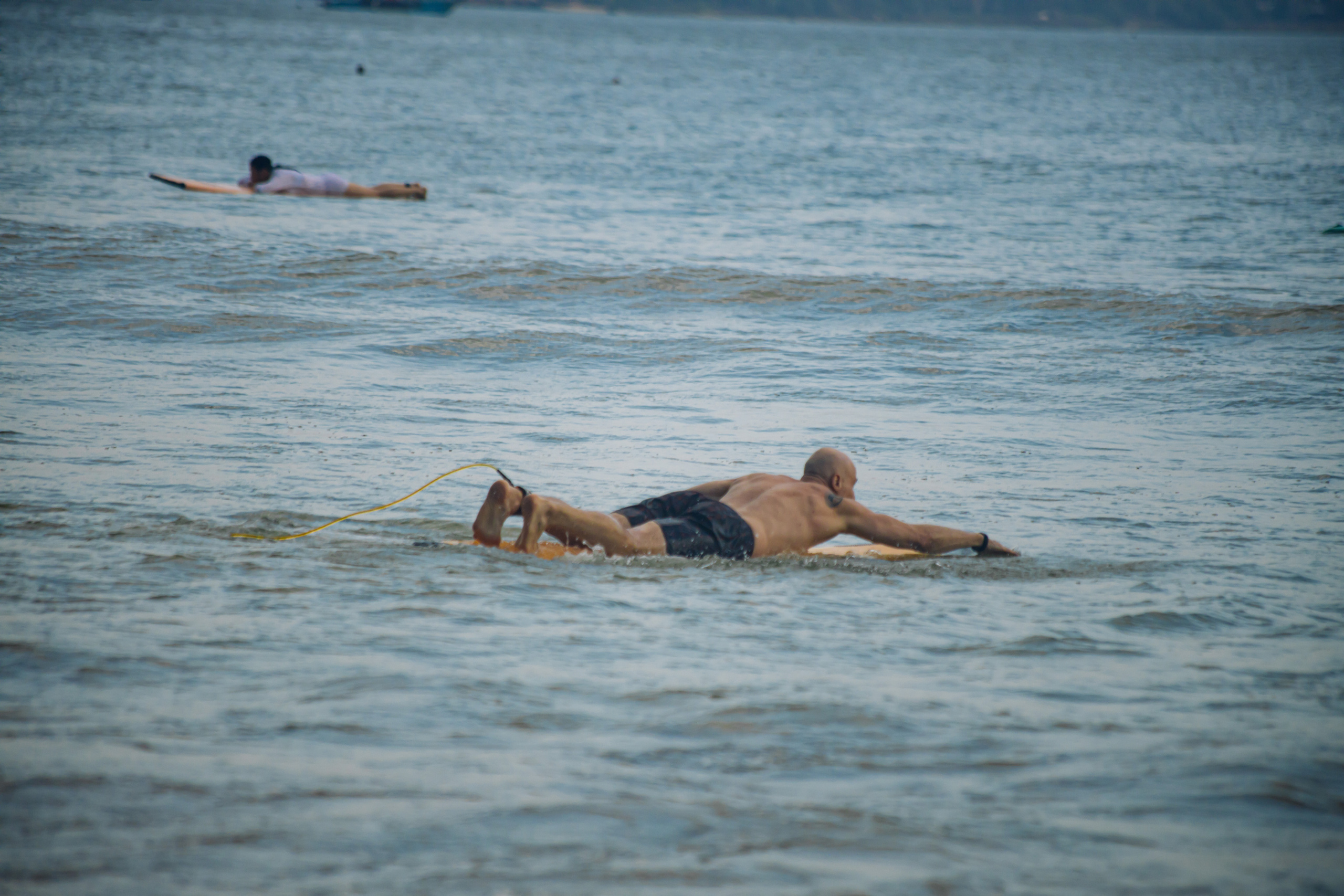 Weligama_bich. Ведущий на праздник в Москве / Денис Аганин