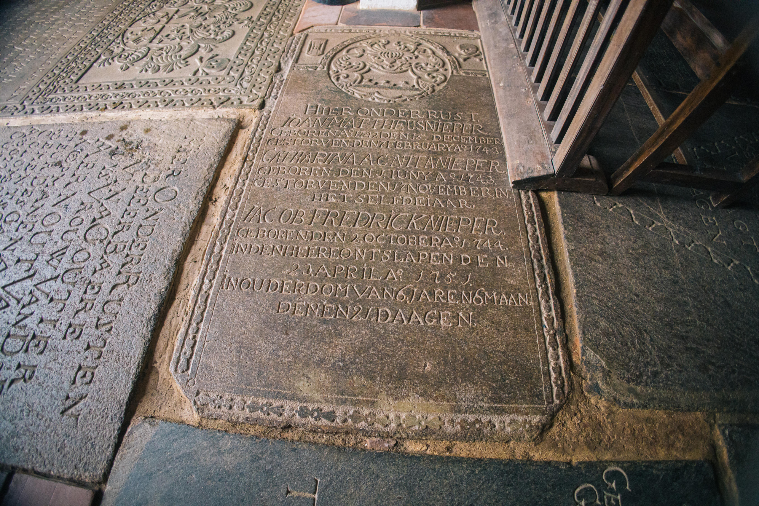 Surf_land. Ведущий на праздник в Москве / Денис Аганин