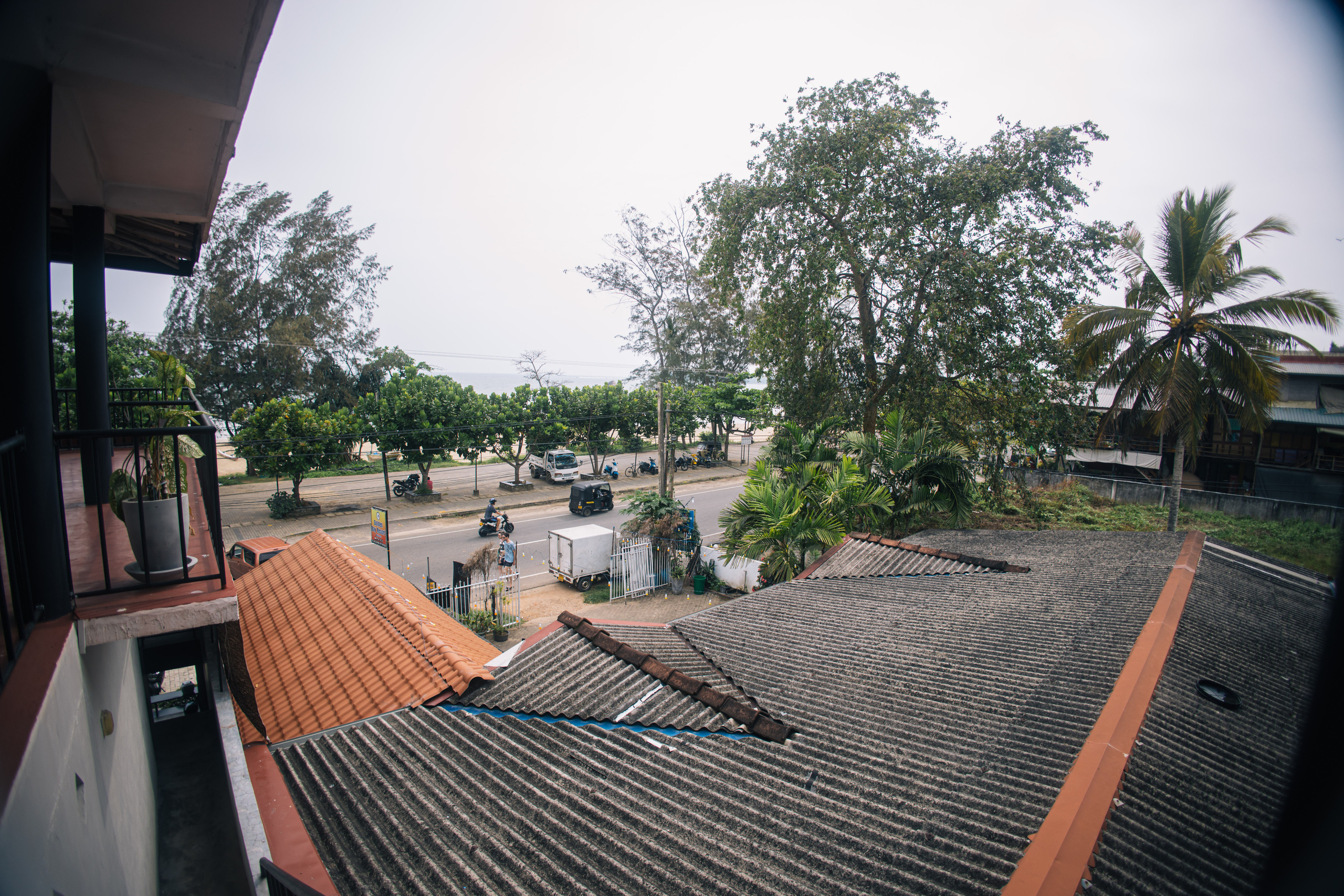 Surf_land. Ведущий на праздник в Москве / Денис Аганин