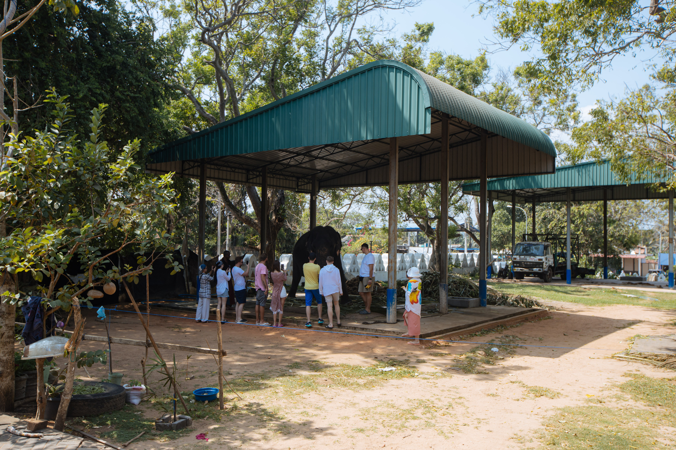 Surf_land. Ведущий на праздник в Москве / Денис Аганин