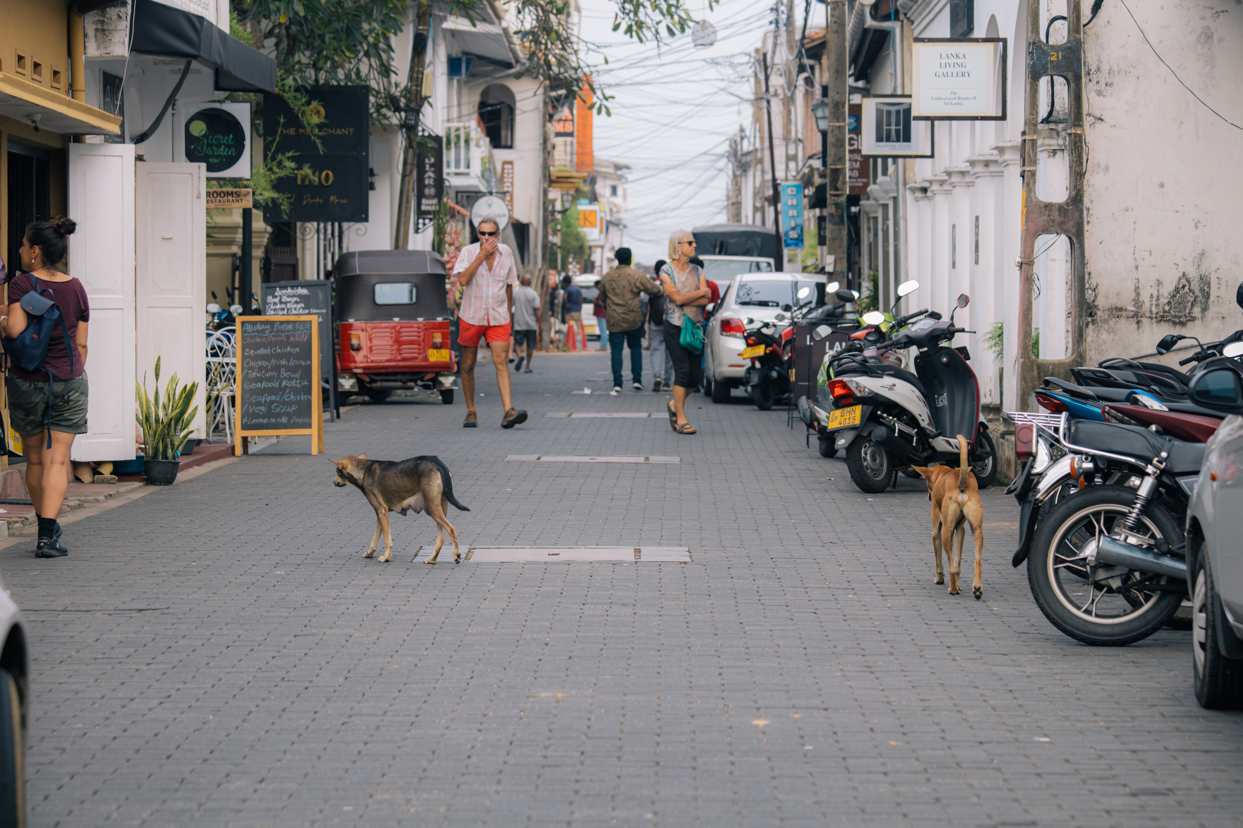 Surf_land. Ведущий на праздник в Москве / Денис Аганин