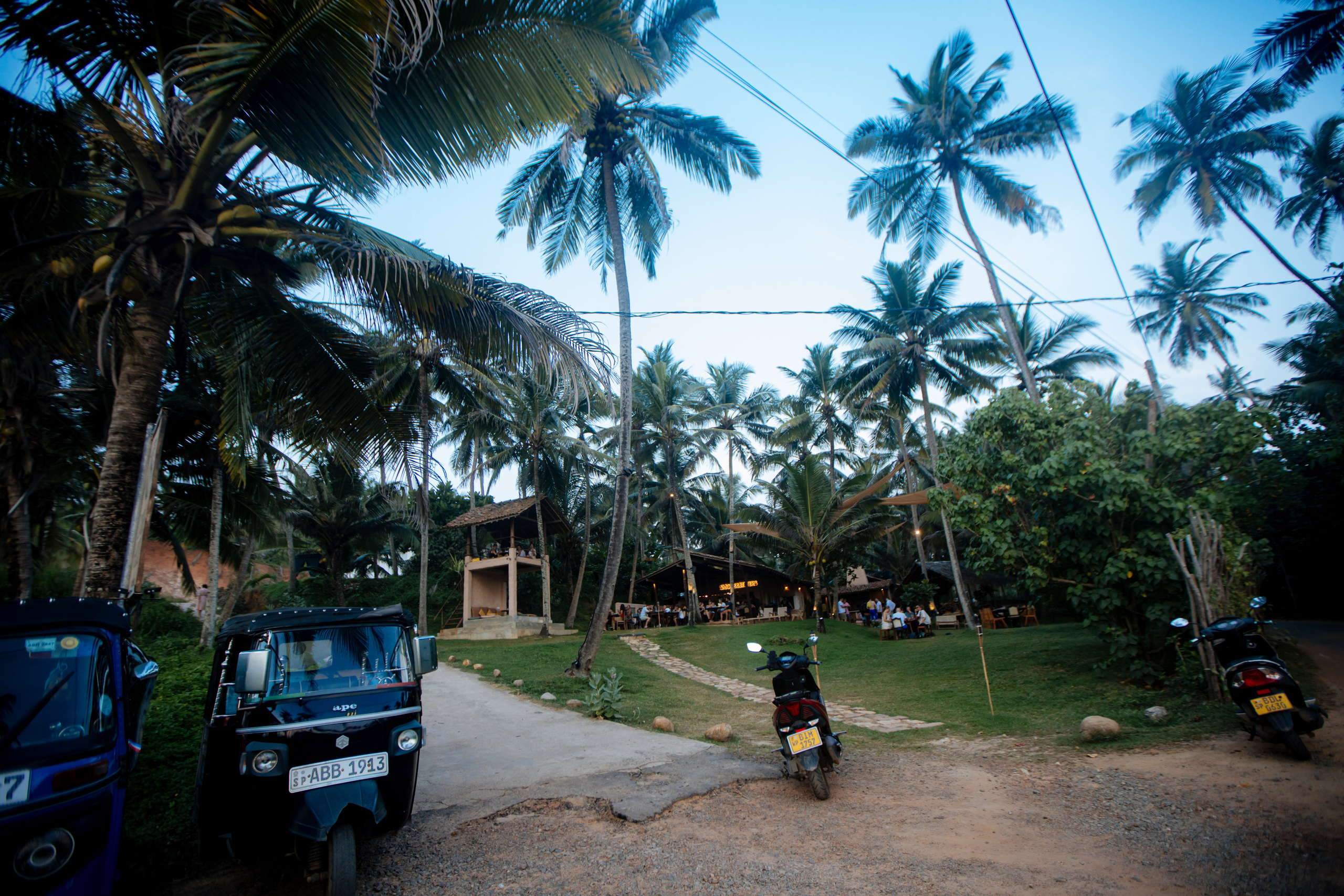 Surf_land. Ведущий на праздник в Москве / Денис Аганин