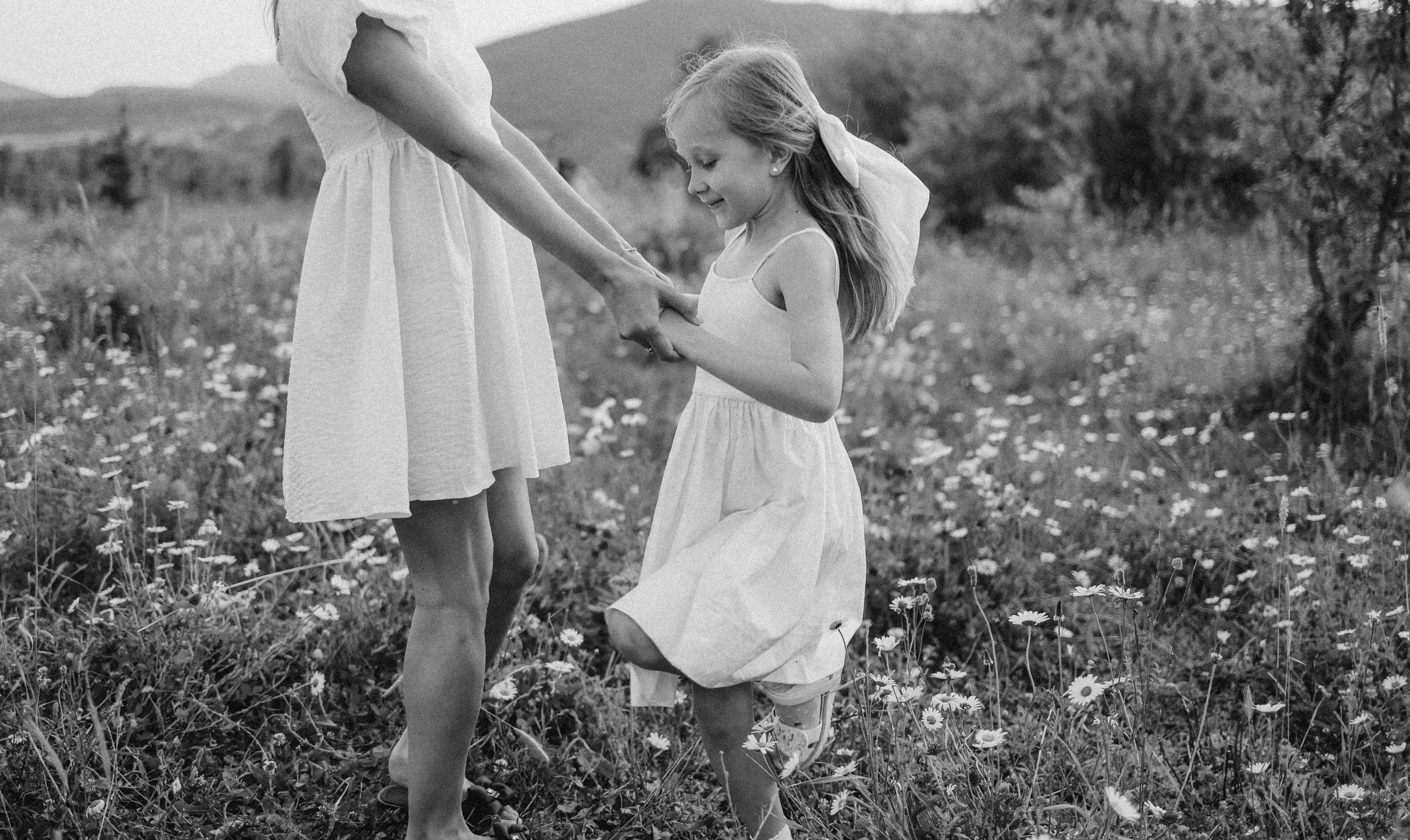 Ромашки. Фотограф Немазенко Ольга