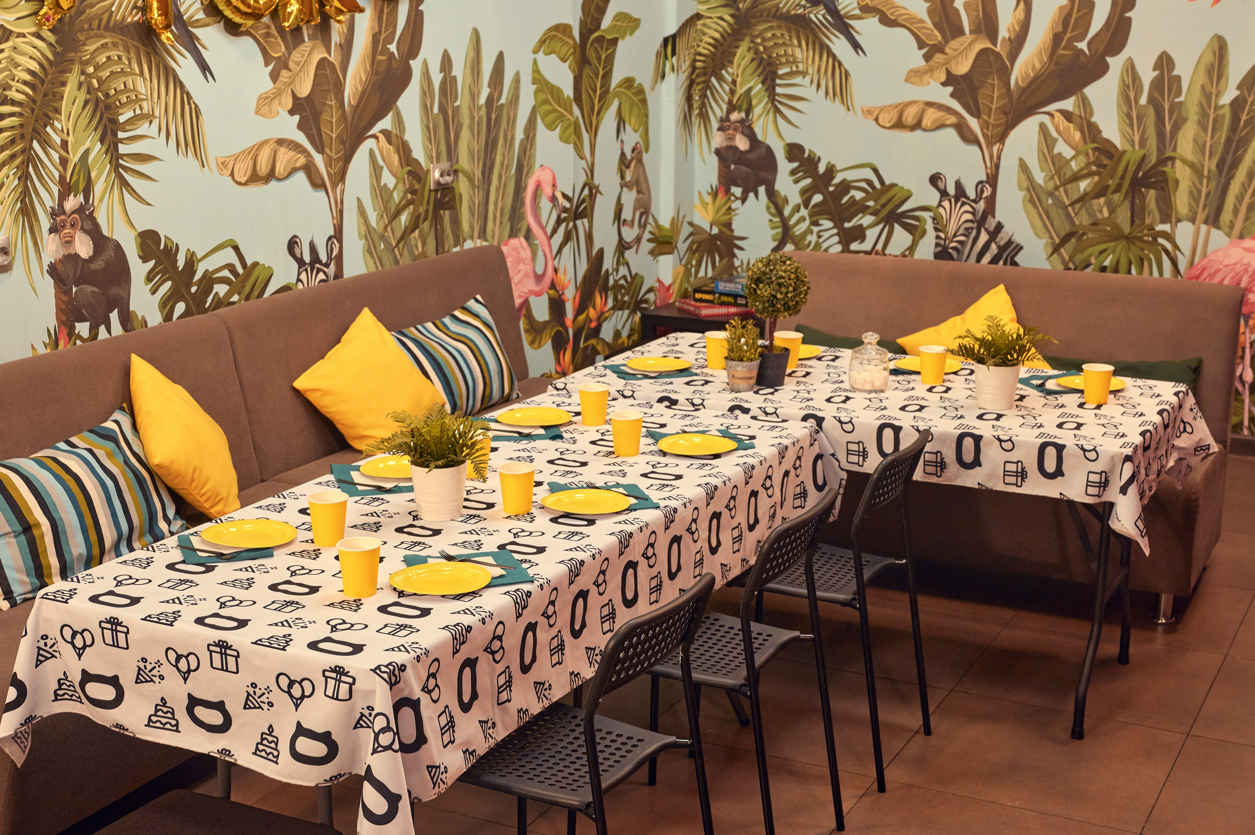 Чеширский Коd — 5 локаций. Фотограф Яковлев Роман — Красноярск