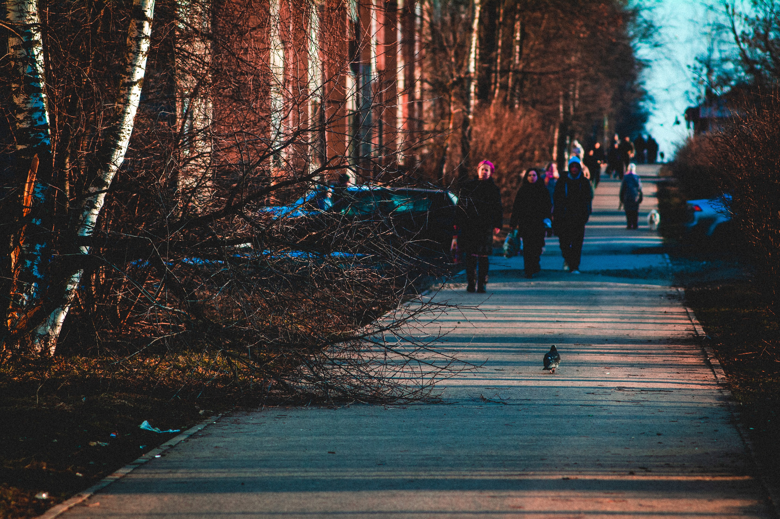 Со дна на вершину. Den Mirov — Фотограф, Музыкант