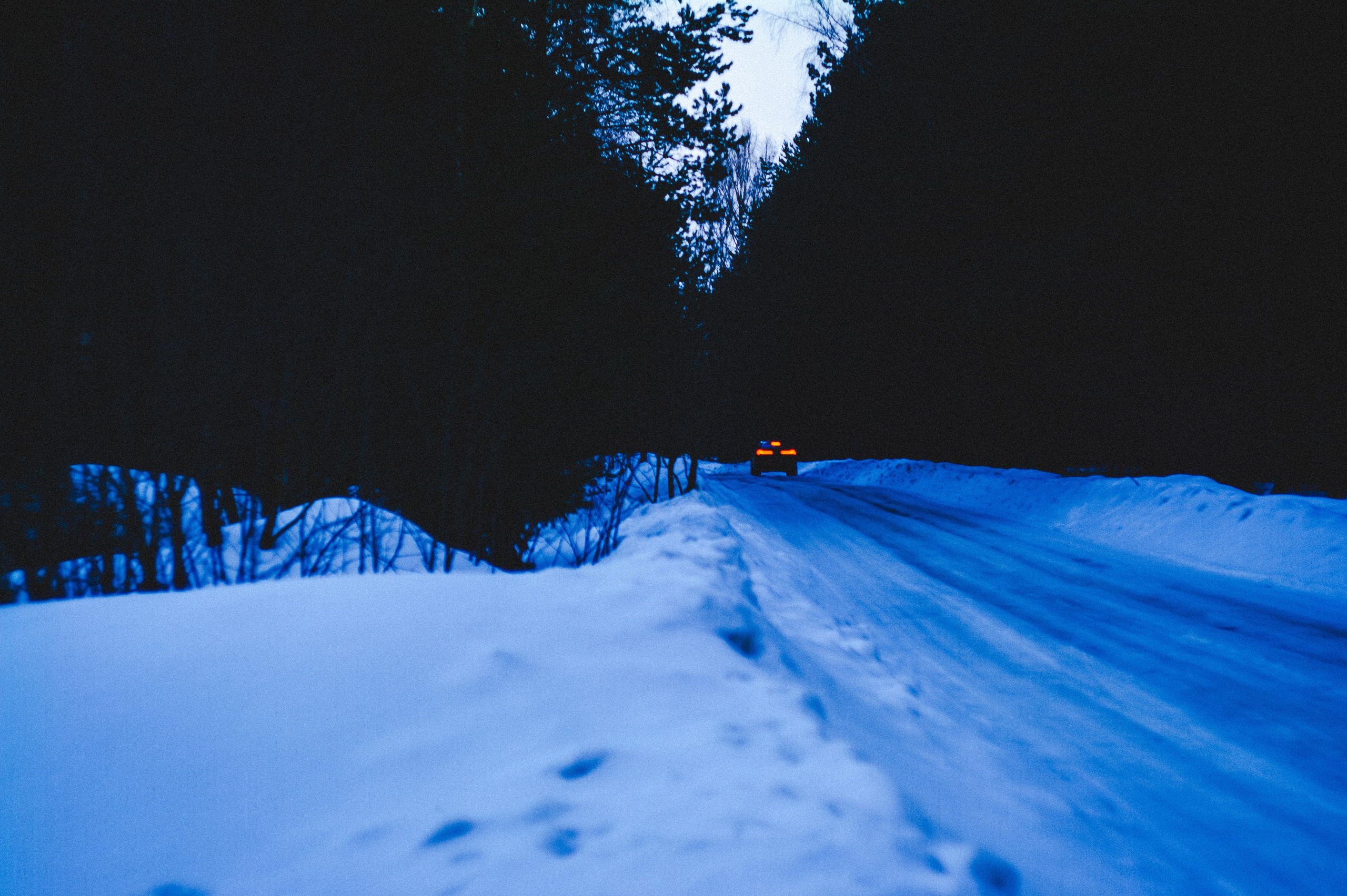 Narcissist. Den Mirov — Photographer, Musician