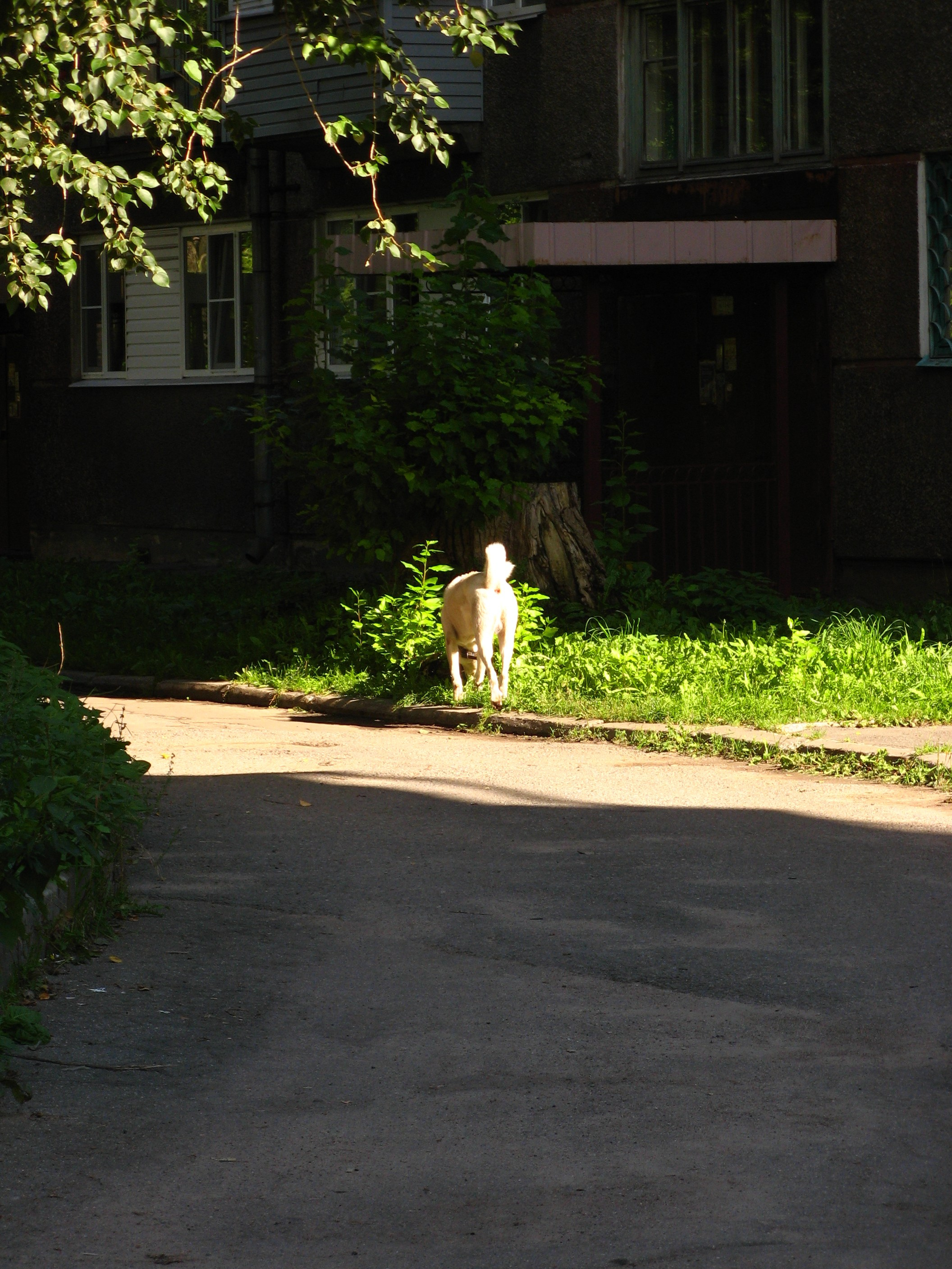 Сентябрь 2025. Den Mirov — Фотограф, Музыкант