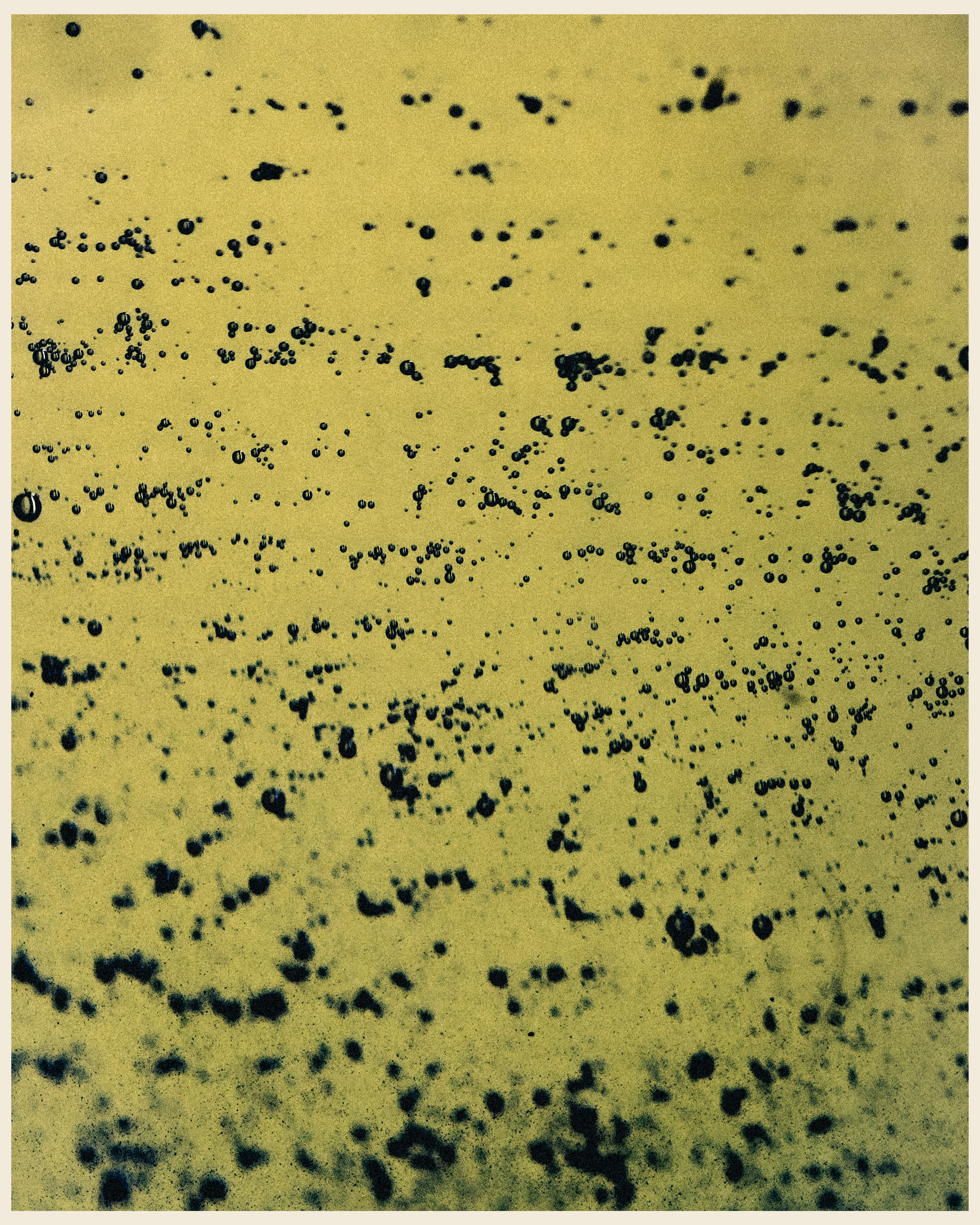 RAY BAR x VANO. Ivan Petrov photographer