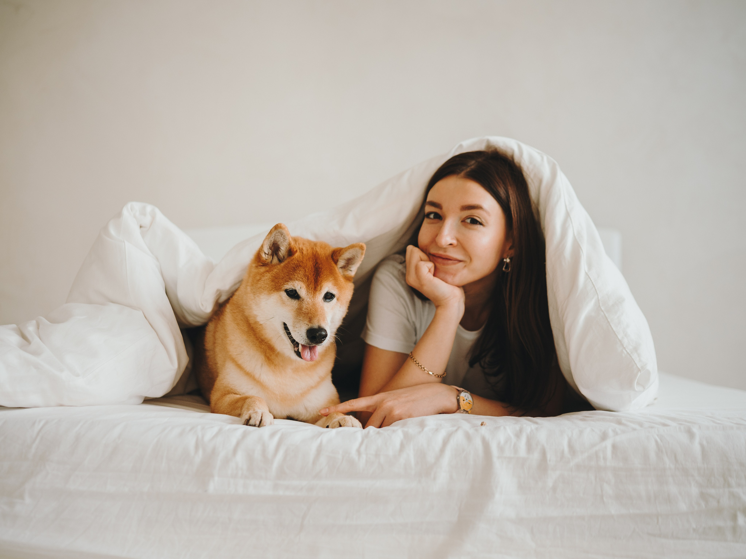 День рождения Кексика. Семейный фотограф анималист Ананьева Мария — Москва