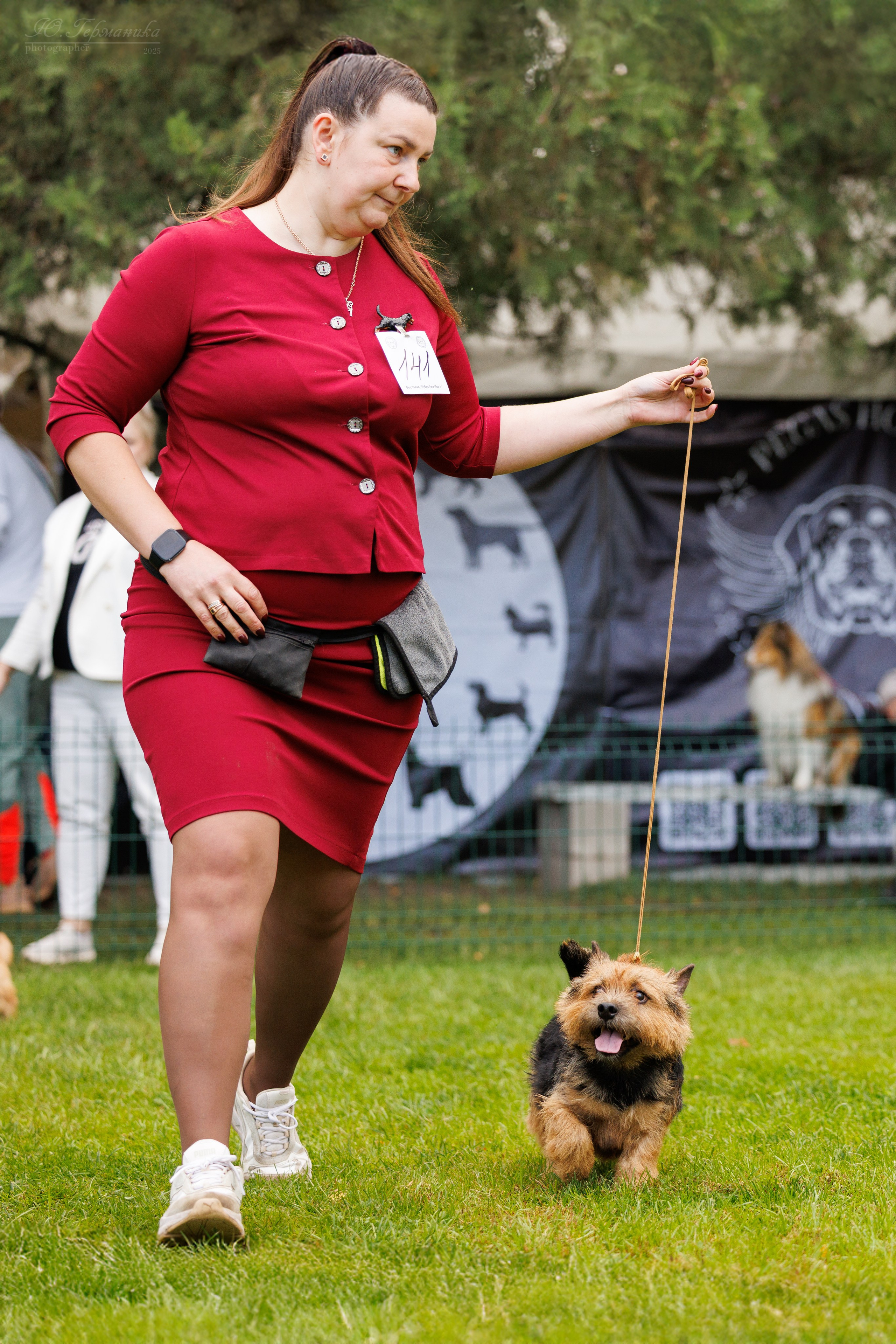 Бишкек 3х CACIB 26-28.09.2025. Фотограф-анималист Юлия Германика