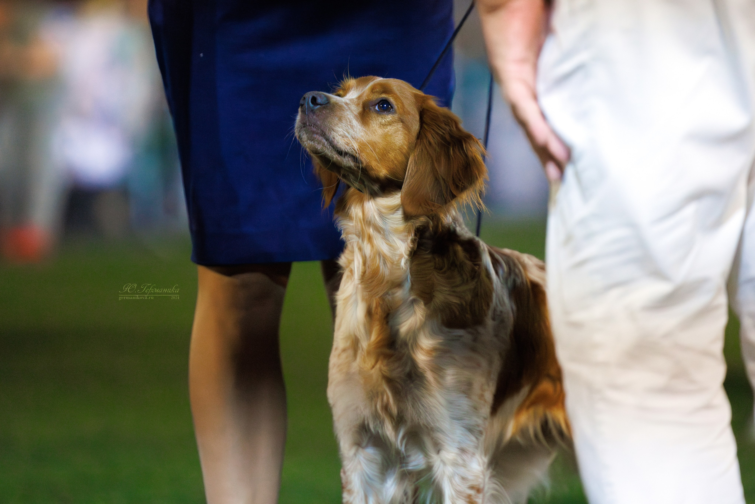Волгоград 2-4.08.2024. Фотограф-анималист Юлия Германика