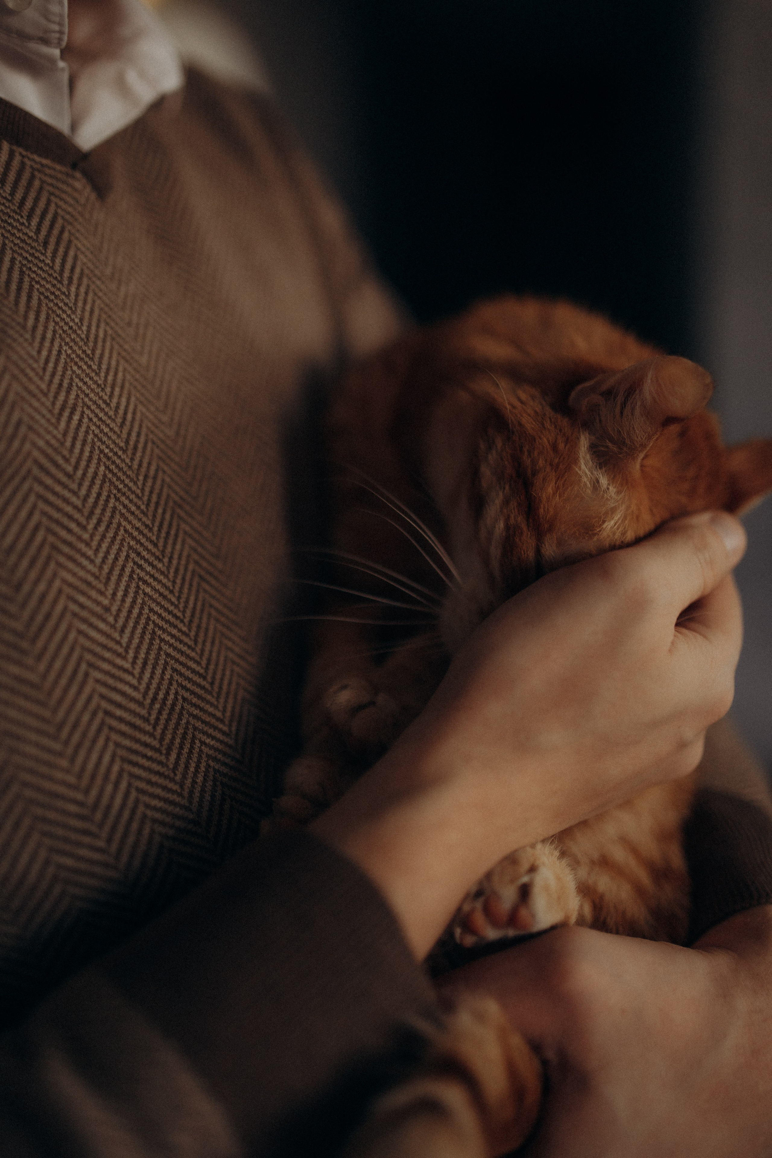 Годовасие. Семейный фотограф в Москве и Люберцах Юлия Гуськова