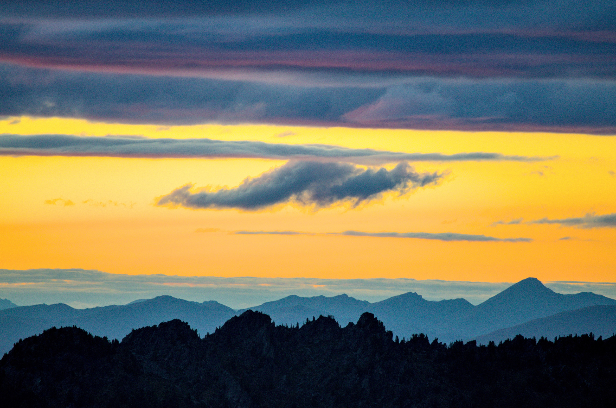 Алтай. Фотограф анималист, пейзажист, спортивные мероприятия. Новосибирск