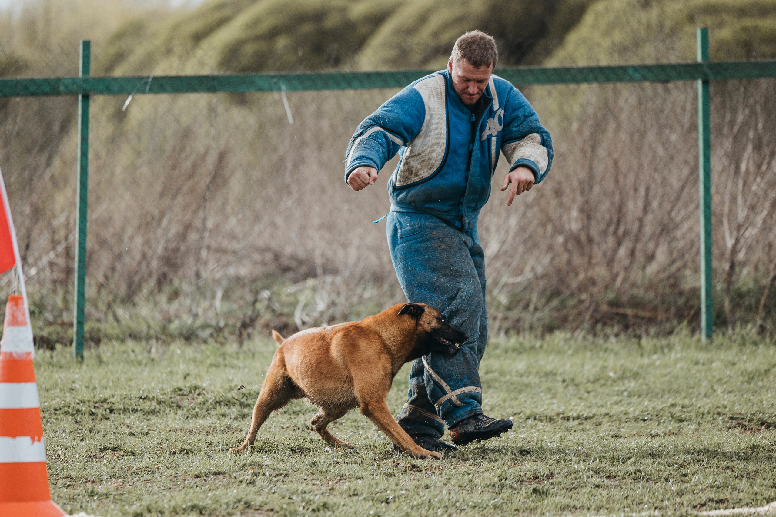 09.05.25 Вологда соревнования. Фотограф-анималист Анна Маринич