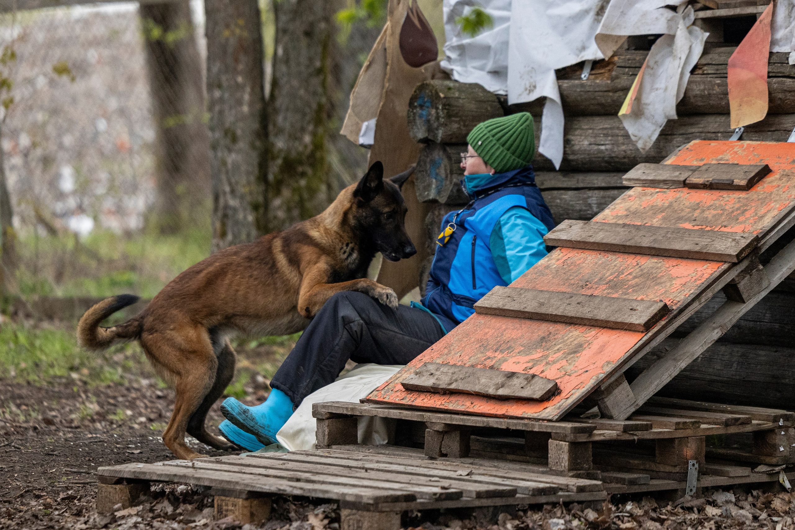 Квалификационные состязания по мондьорингу г. Вологда 11.05.24. Фотограф-анималист Анна Маринич