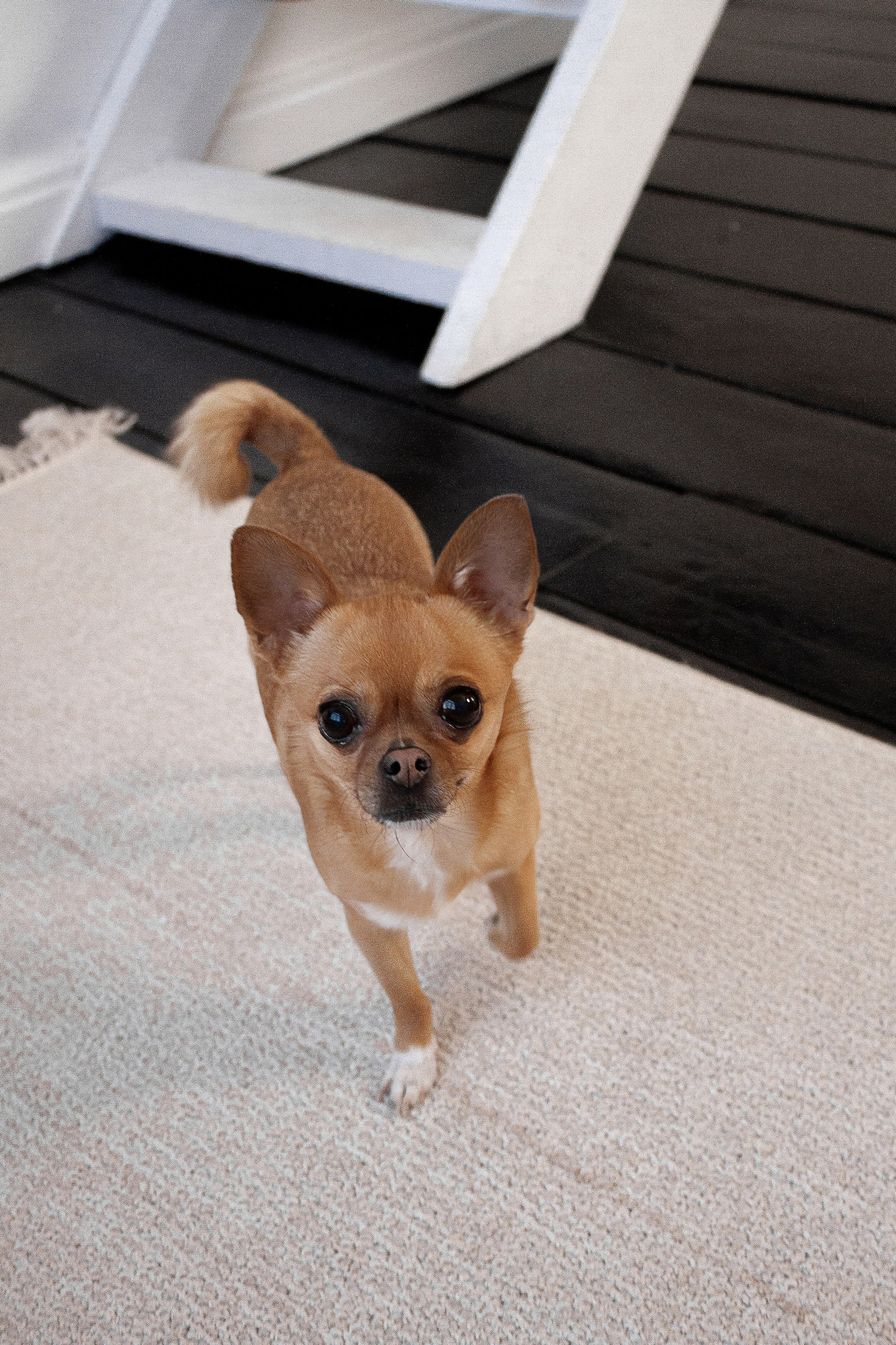 К & С & Мотя. Фотограф Екатеринбург Елена Минина