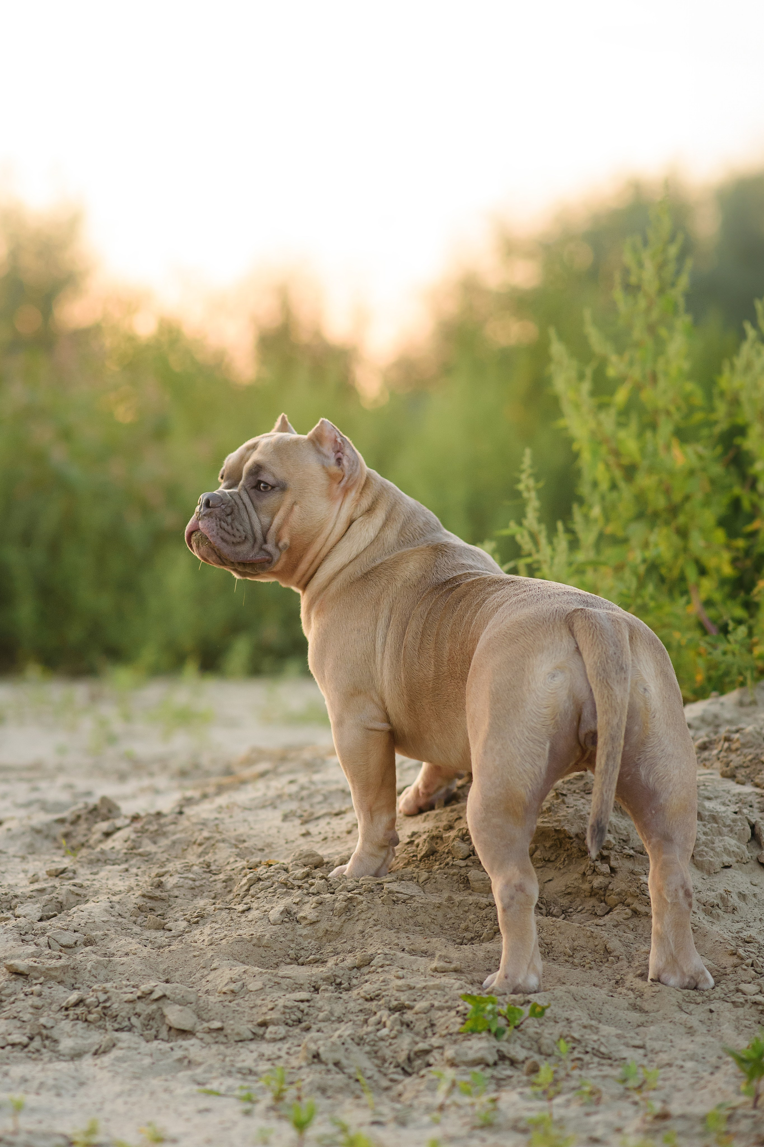 Аляска — Амбулли — 23.08.2024. Фотограф — Анималист | Анна Абрамова