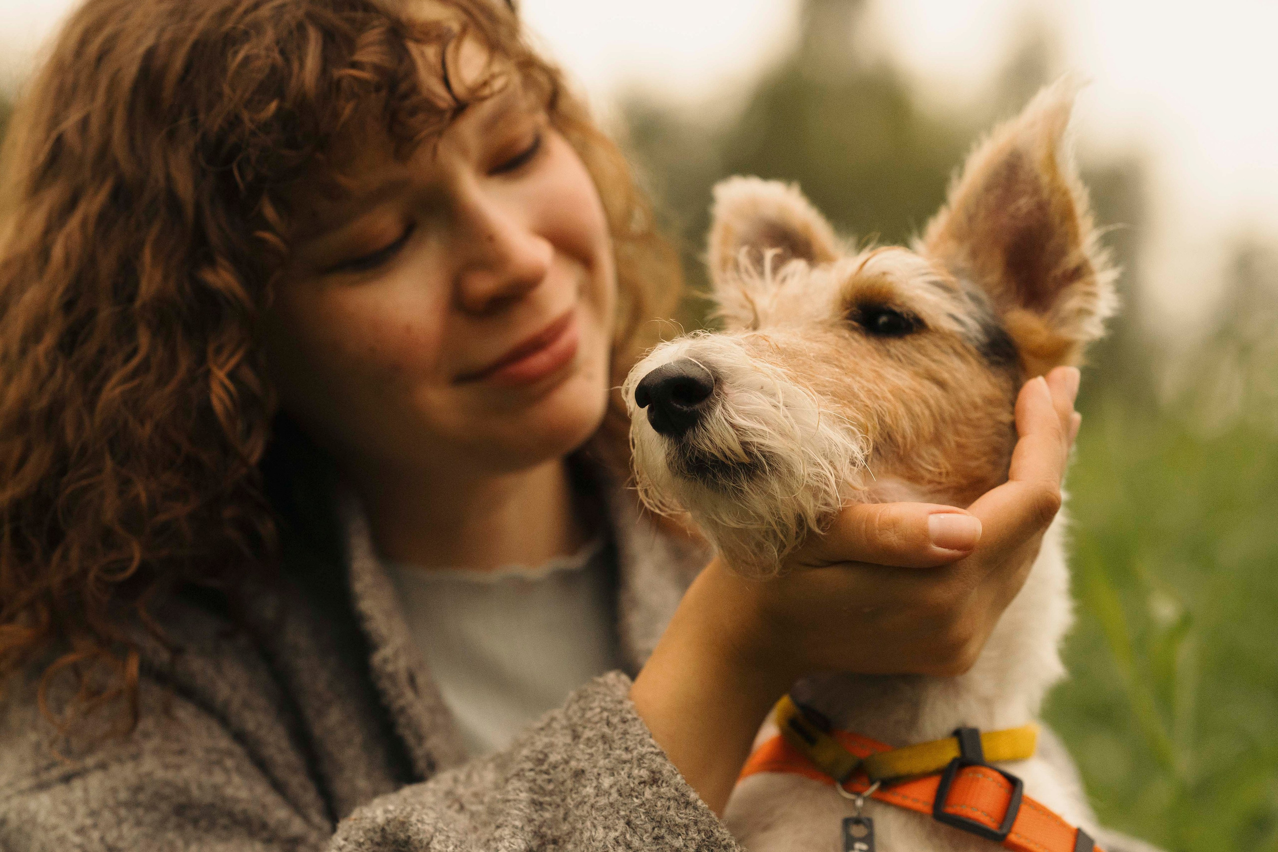 Мартин. Фотограф- анималист Александра Матвеева