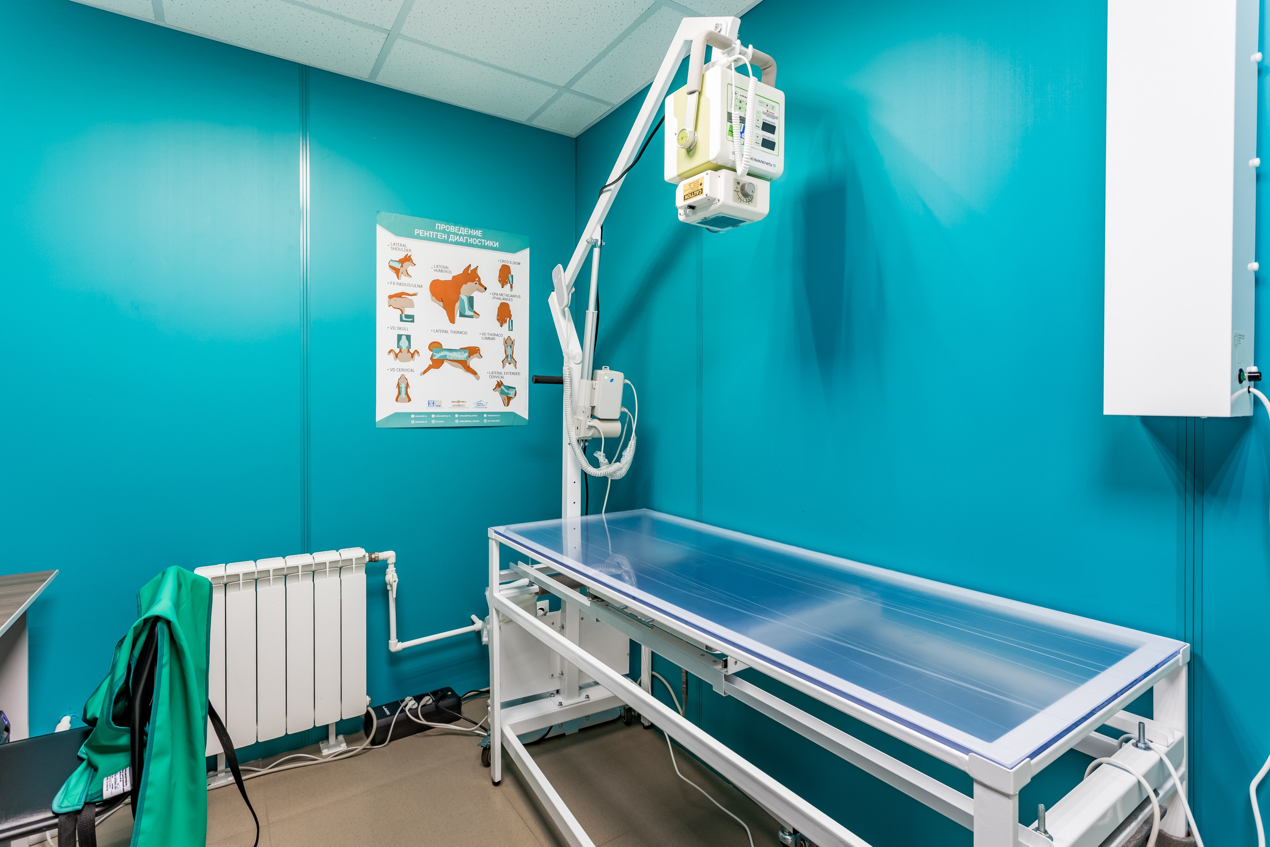 Интерьерная съемка для ветеринарной клиники Прив-вет. Интерьеры, Контент, Портреты | Фотограф в Москве Дани Терно