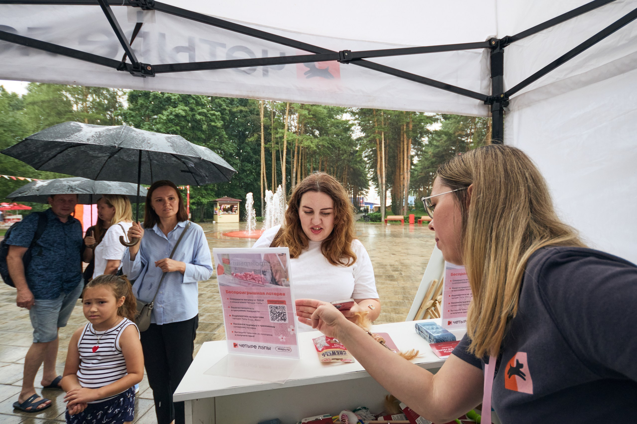 Четыре Лапы. Свадебный и репортажный фотограф Дмитрий Кононенко
