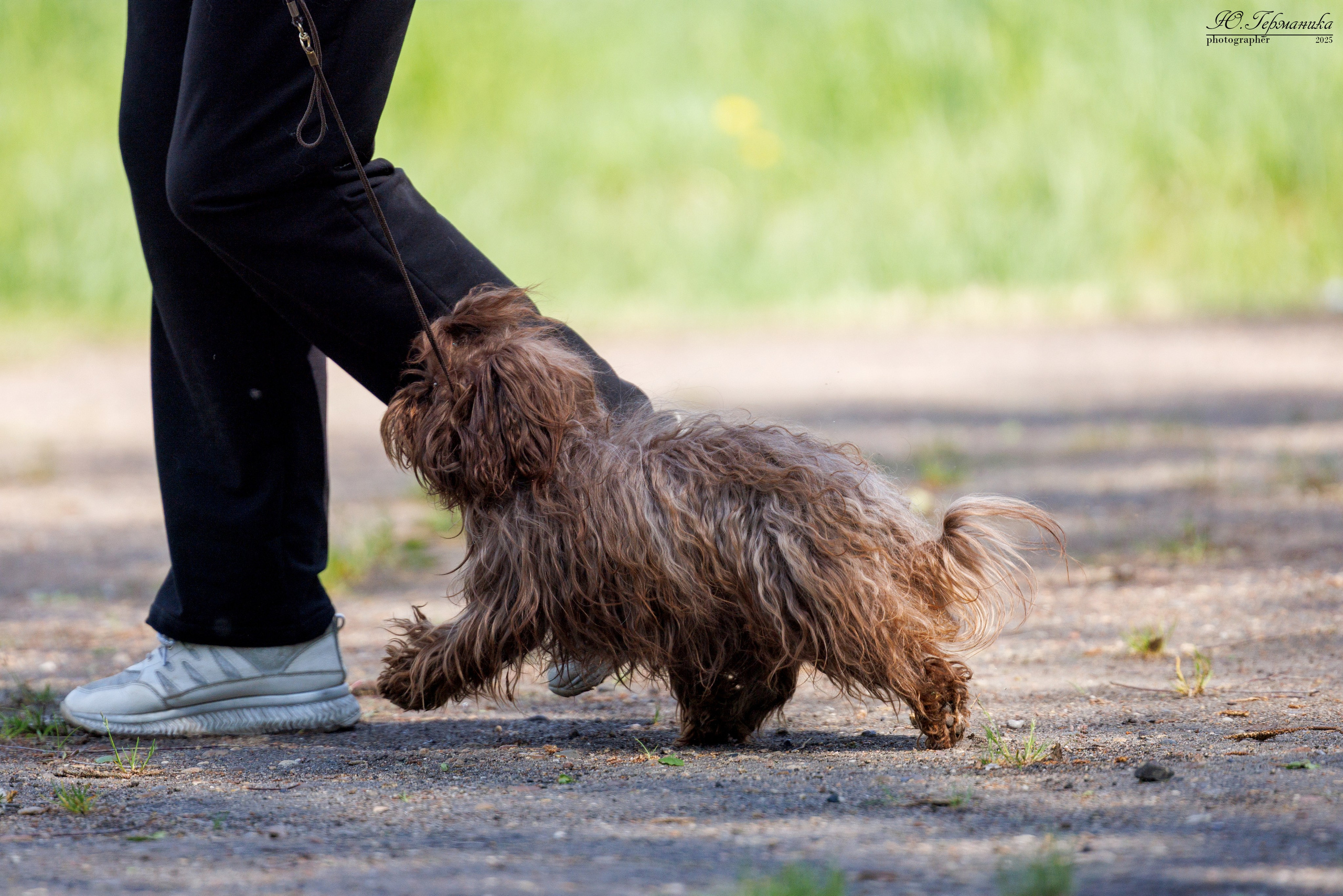 Тверь 24.05.2025. Фотограф-анималист Юлия Германика
