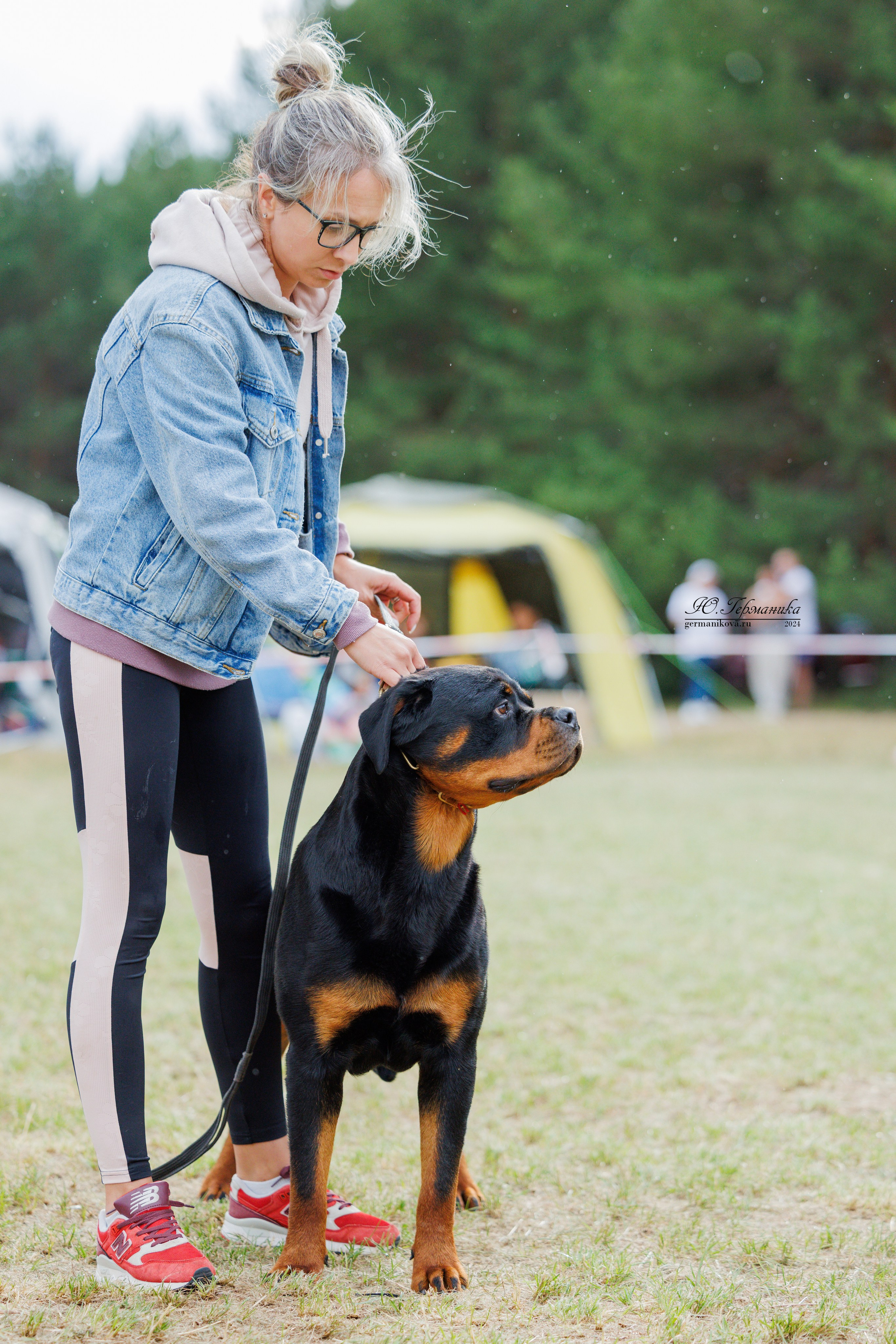 ПК и КЧК ротвейлеры Тверь 6-7.07.2024. Фотограф-анималист Юлия Германика