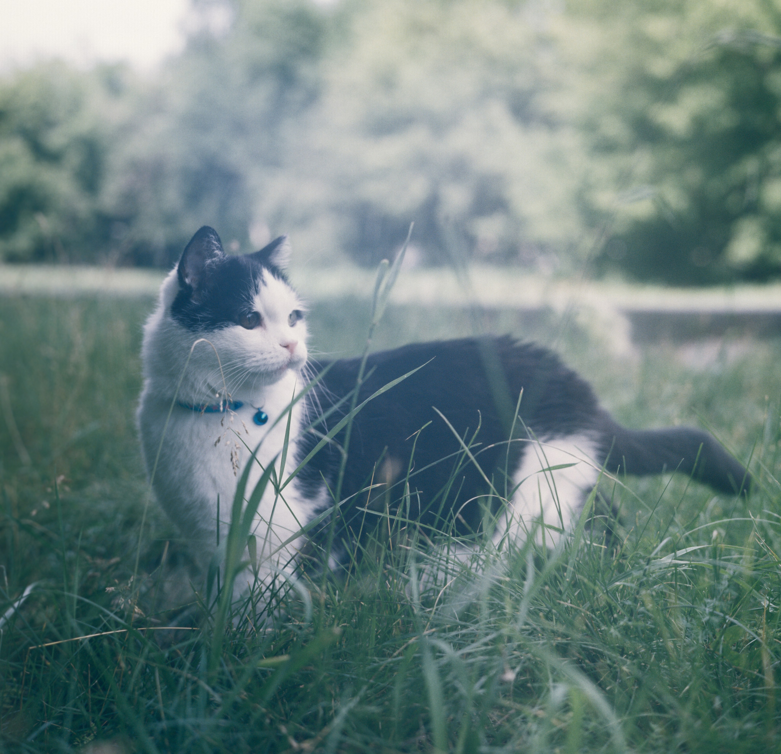 Василий. Фотограф в Санкт-Петербурге Березовский Даниил