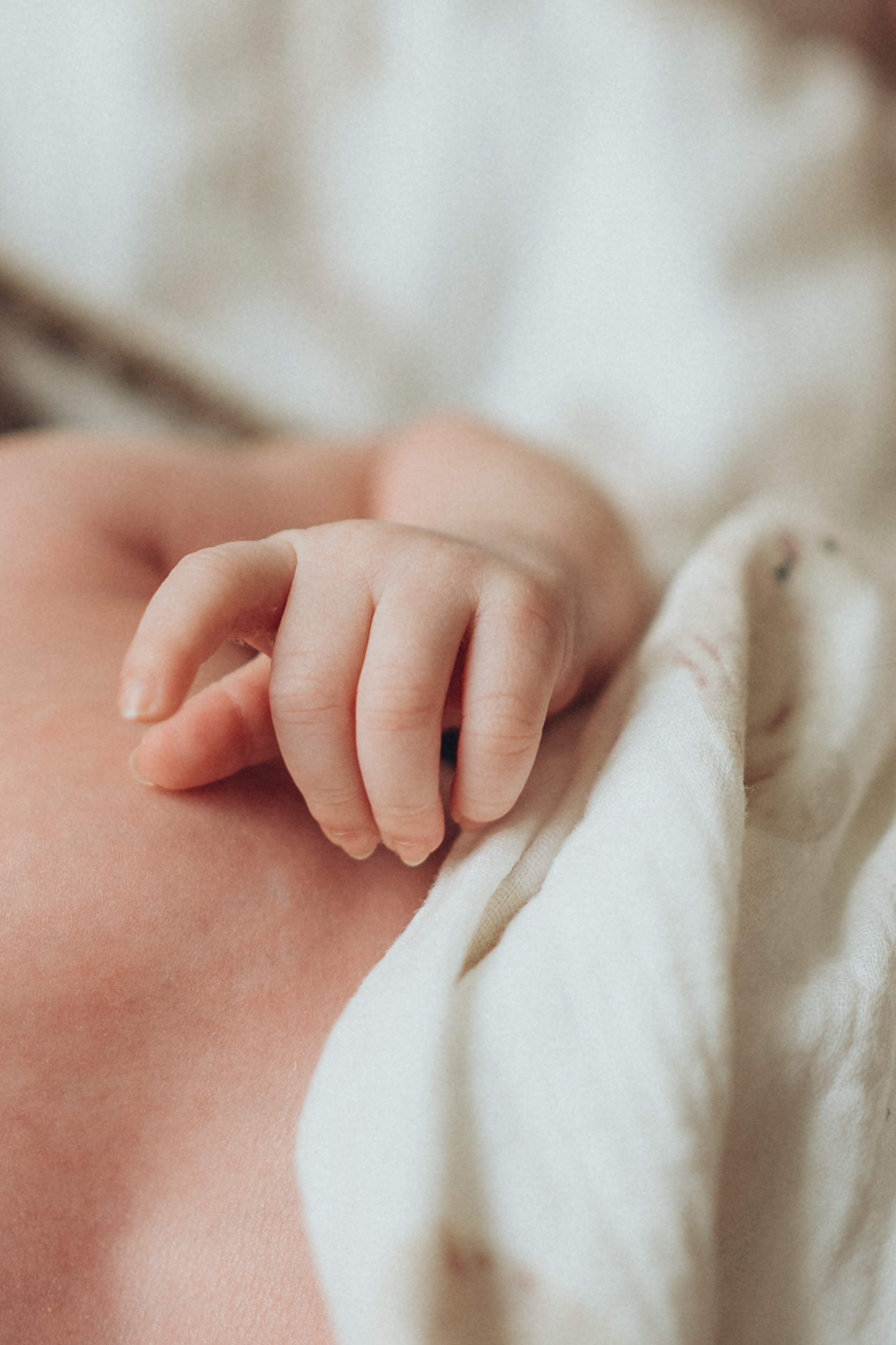 Азамат / Жаклин и Аделя. Фотограф в Санкт-Петербурге — Лучина Екатерина