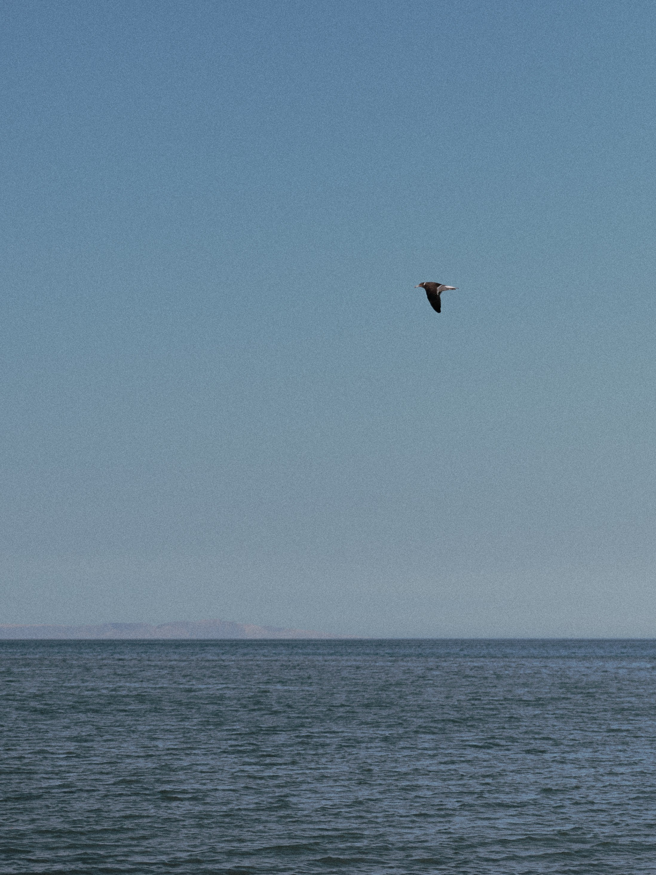 Природа. Jorgis Talè — photographer, kind person, teacher of arts and other mag