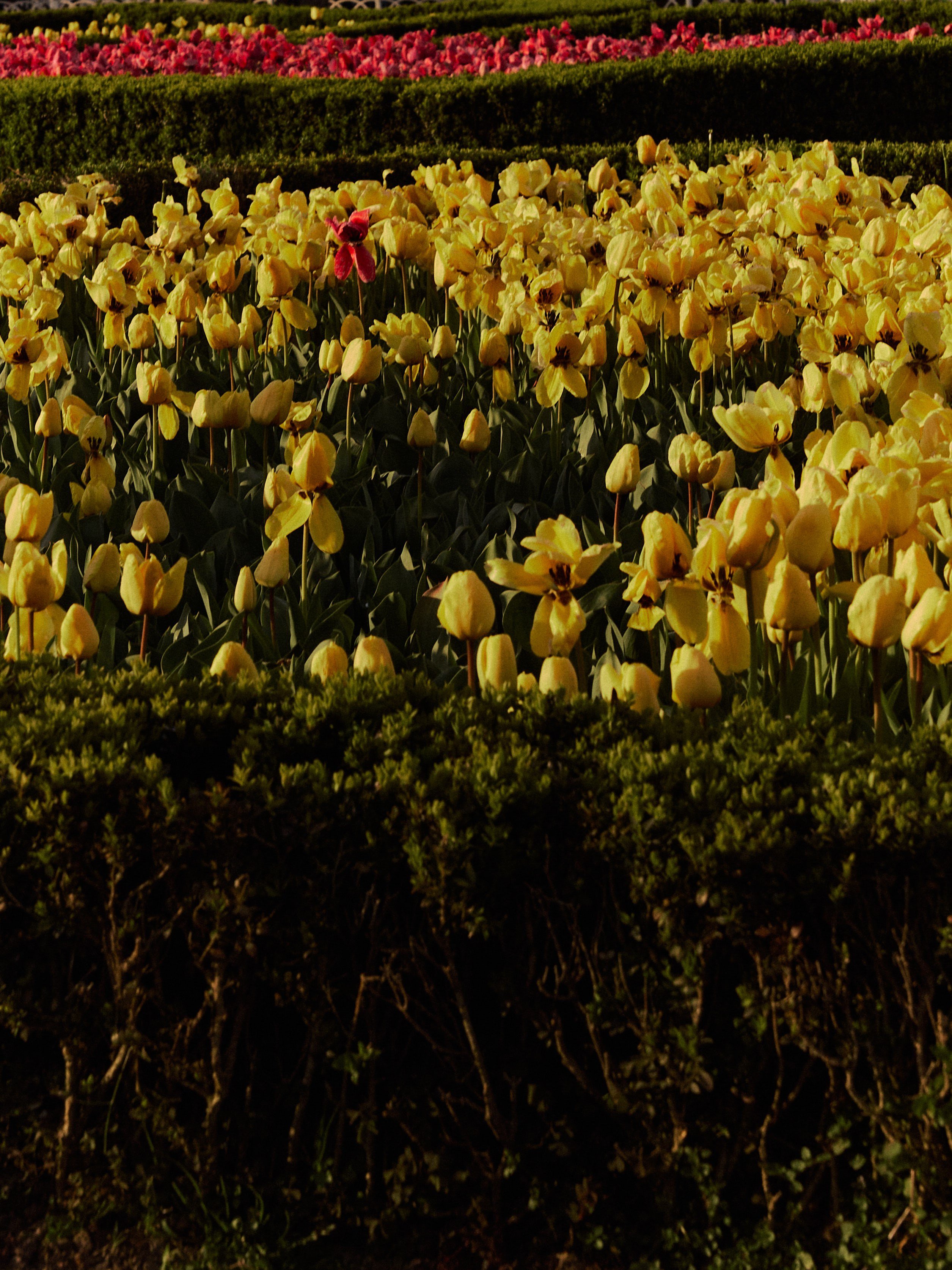 Диптих. Jorgis — фотограф в Хургаде / обучение фотографии