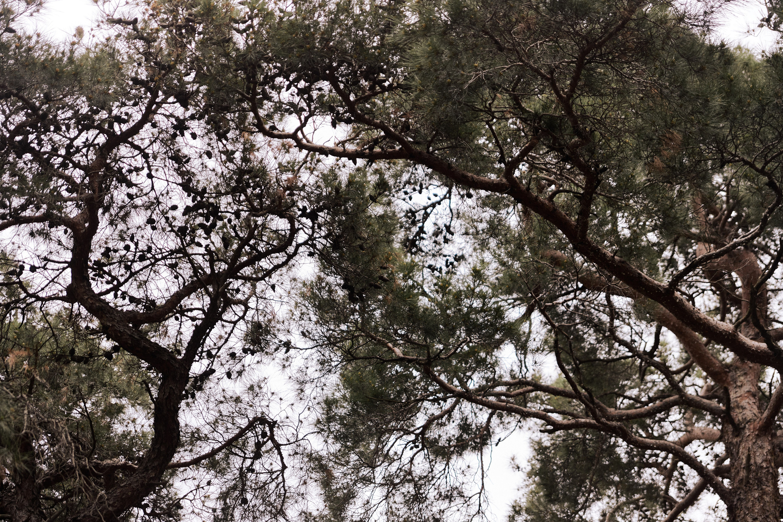 Улица горизонтальная. Jorgis — фотограф в Хургаде / обучение фотографии