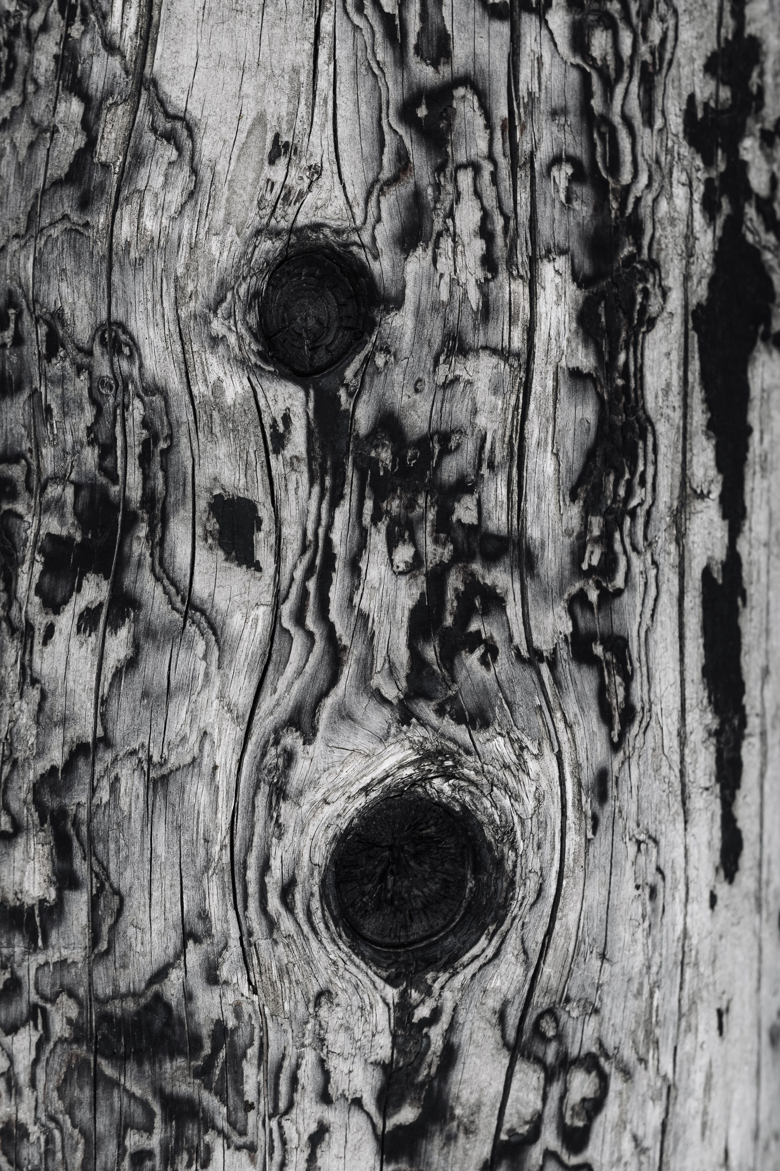 Жизнь. Фотограф Алматы | Весь мир — Никита Колодин