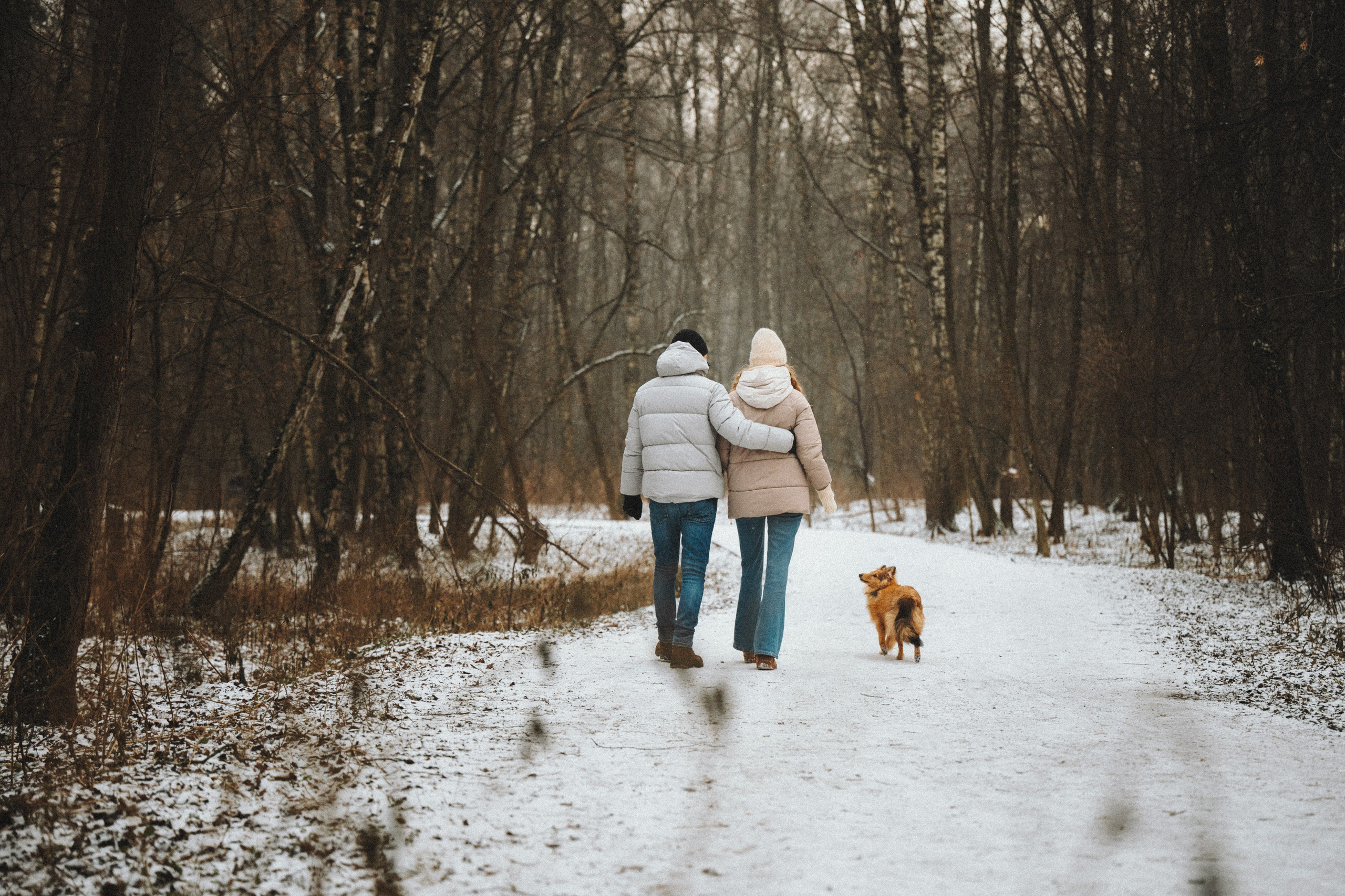 Дарья, Стас и Спика. Семейный фотограф анималист Ананьева Мария — Москва