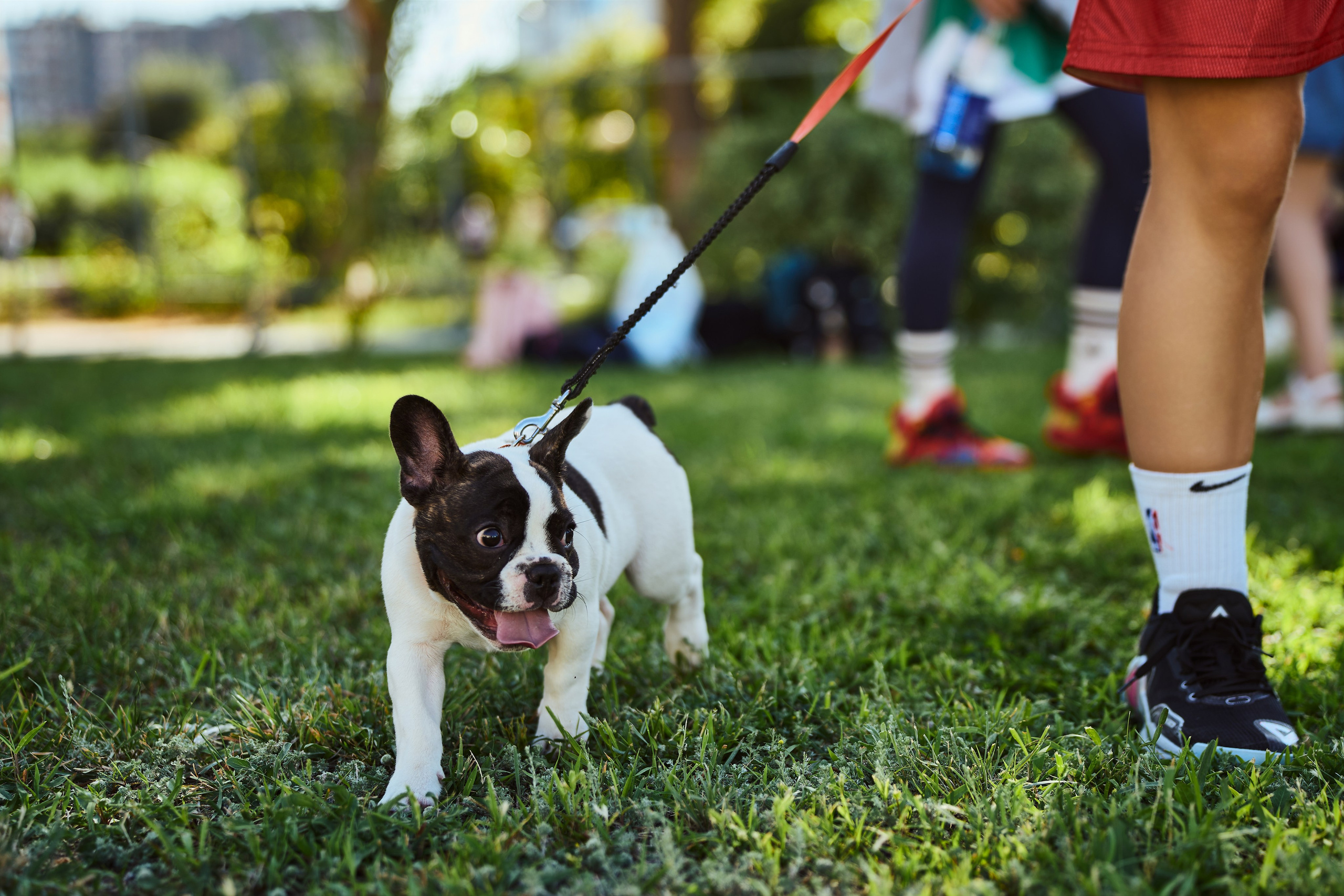 День Физкультурника. Фотограф Иван Сосновский