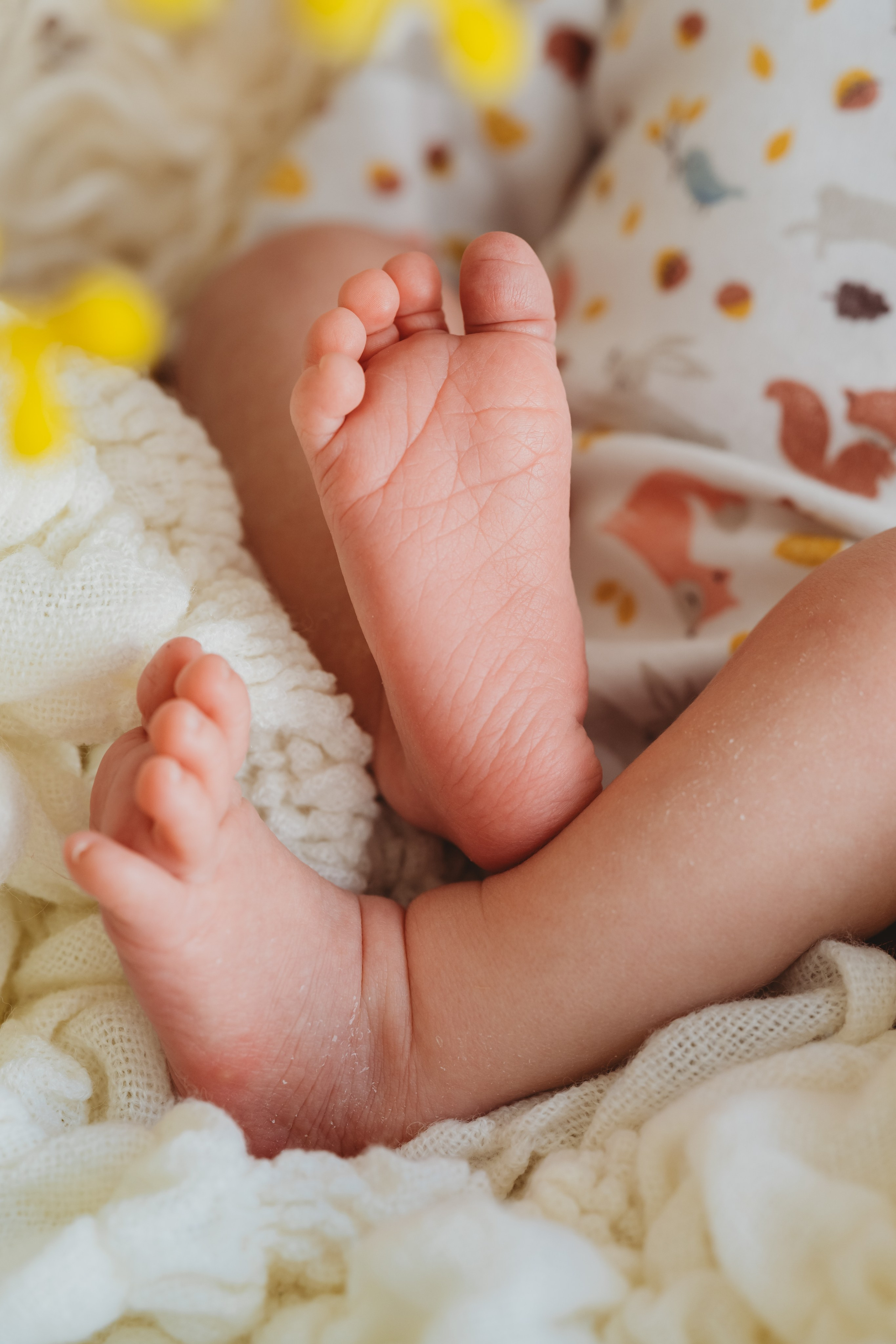 Новорожденные. Фотограф новорожденных во Владимире Анастасия Воробьева