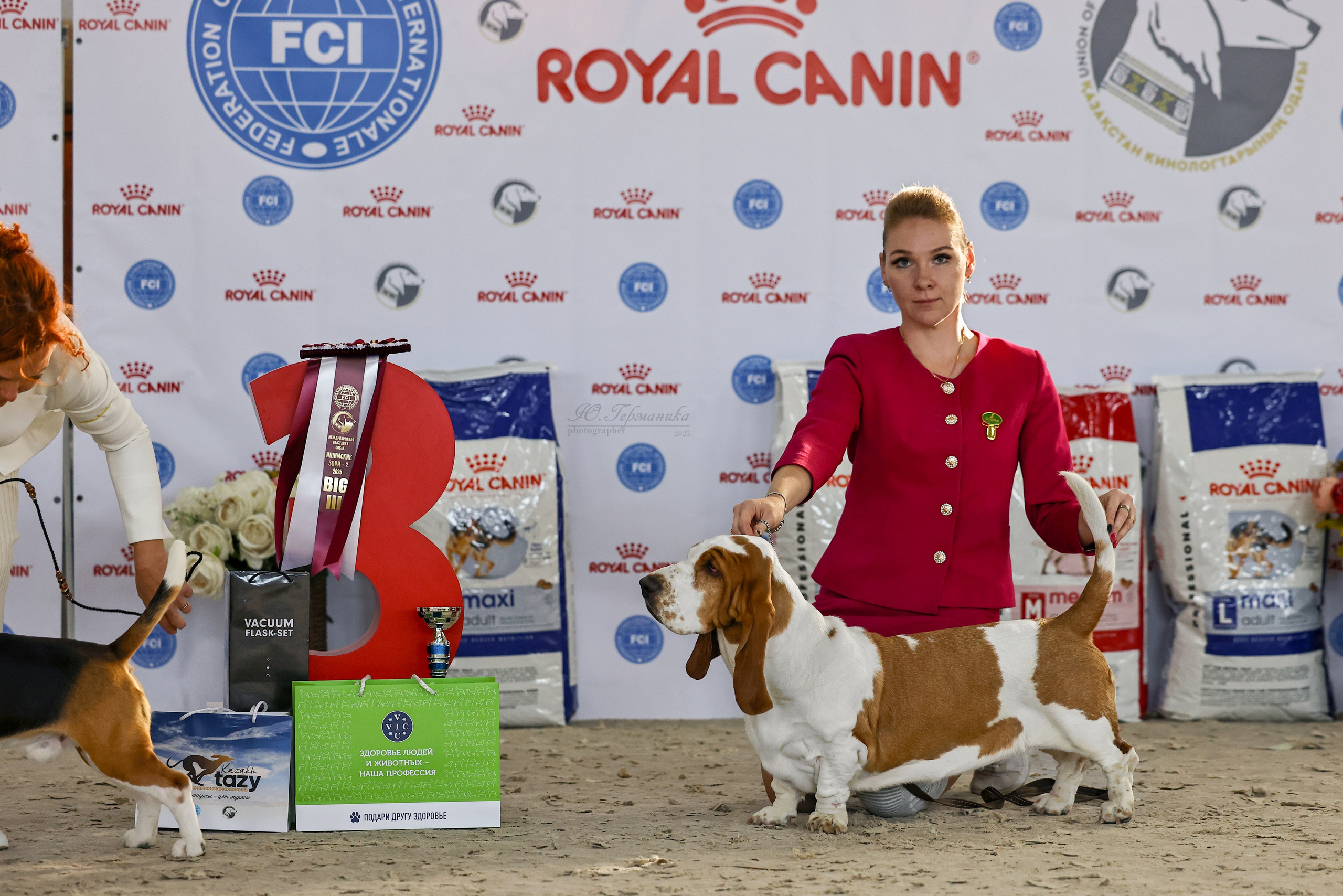 Астана 2хCACIB 26-28.09.2025. Фотограф-анималист Юлия Германика