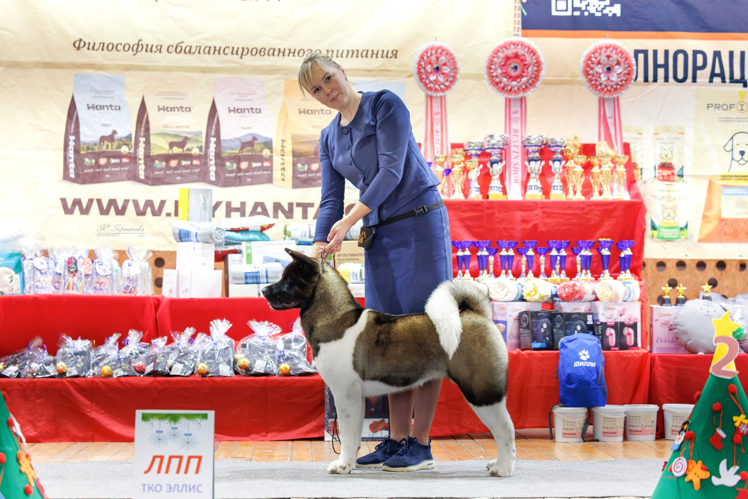 Тверь 21.12.2025. Фотограф-анималист Юлия Германика