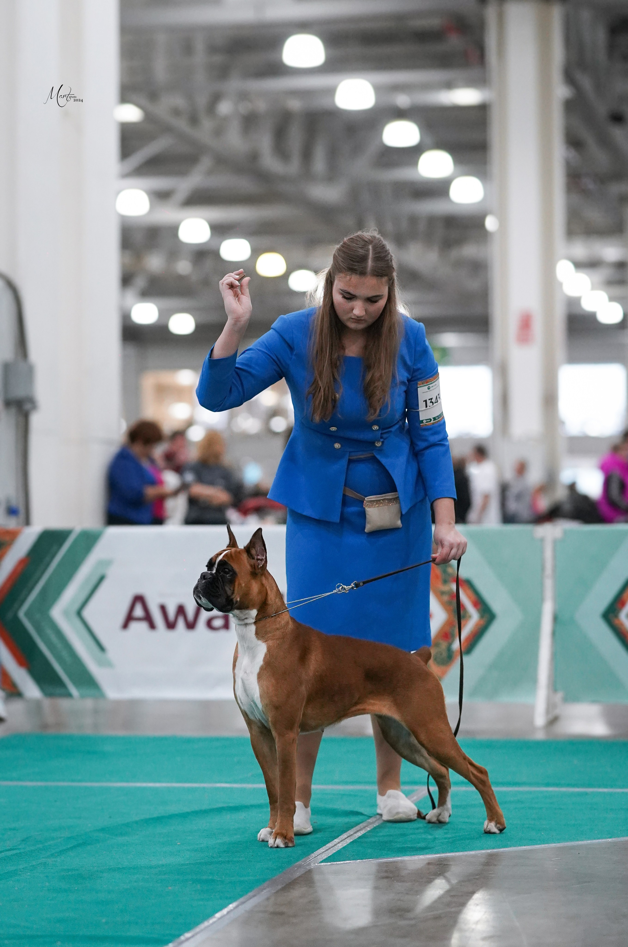 Выставки 2024. Фотограф-анималист в Санкт-Петербурге Яна Мартынова