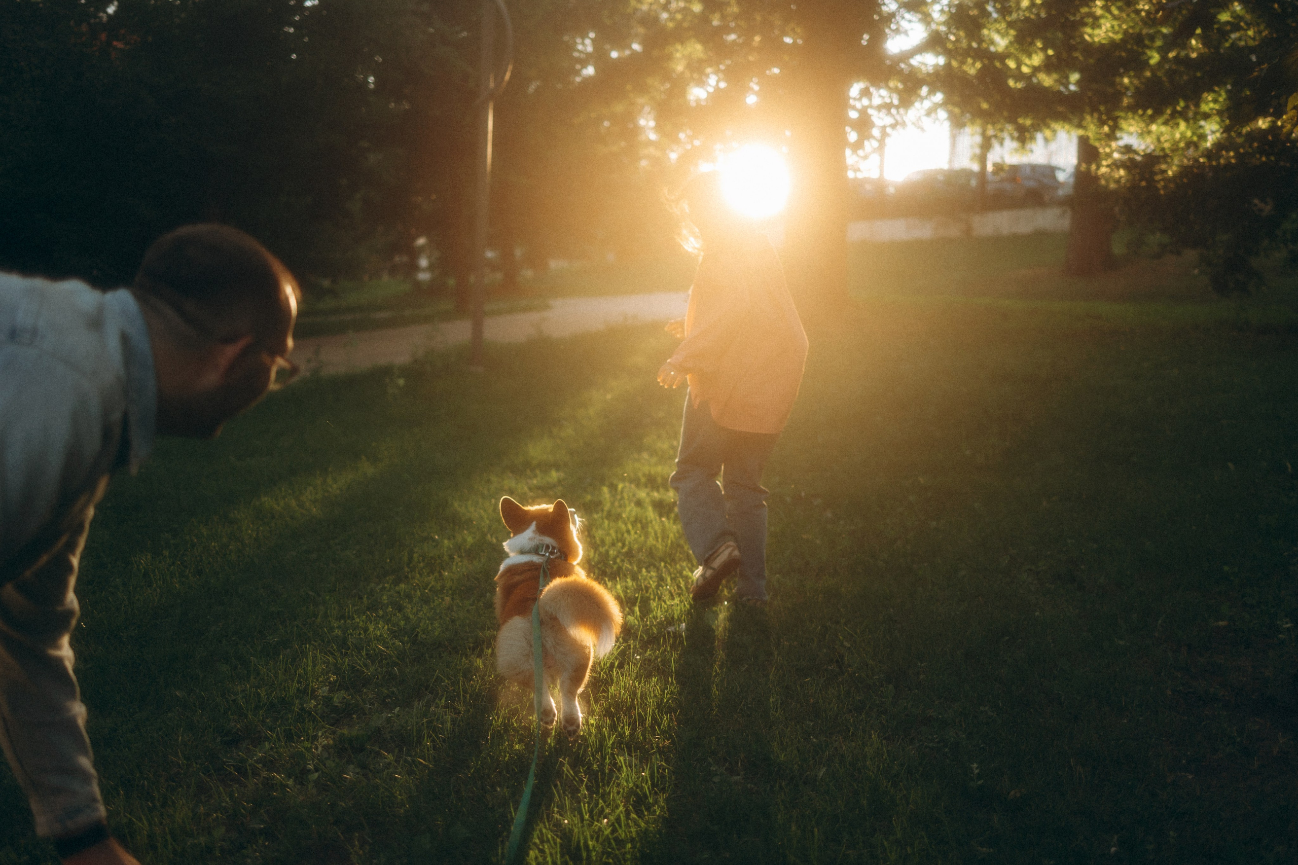 Момо, Люда и Эд. Фотограф анималист Анастасия Пикей