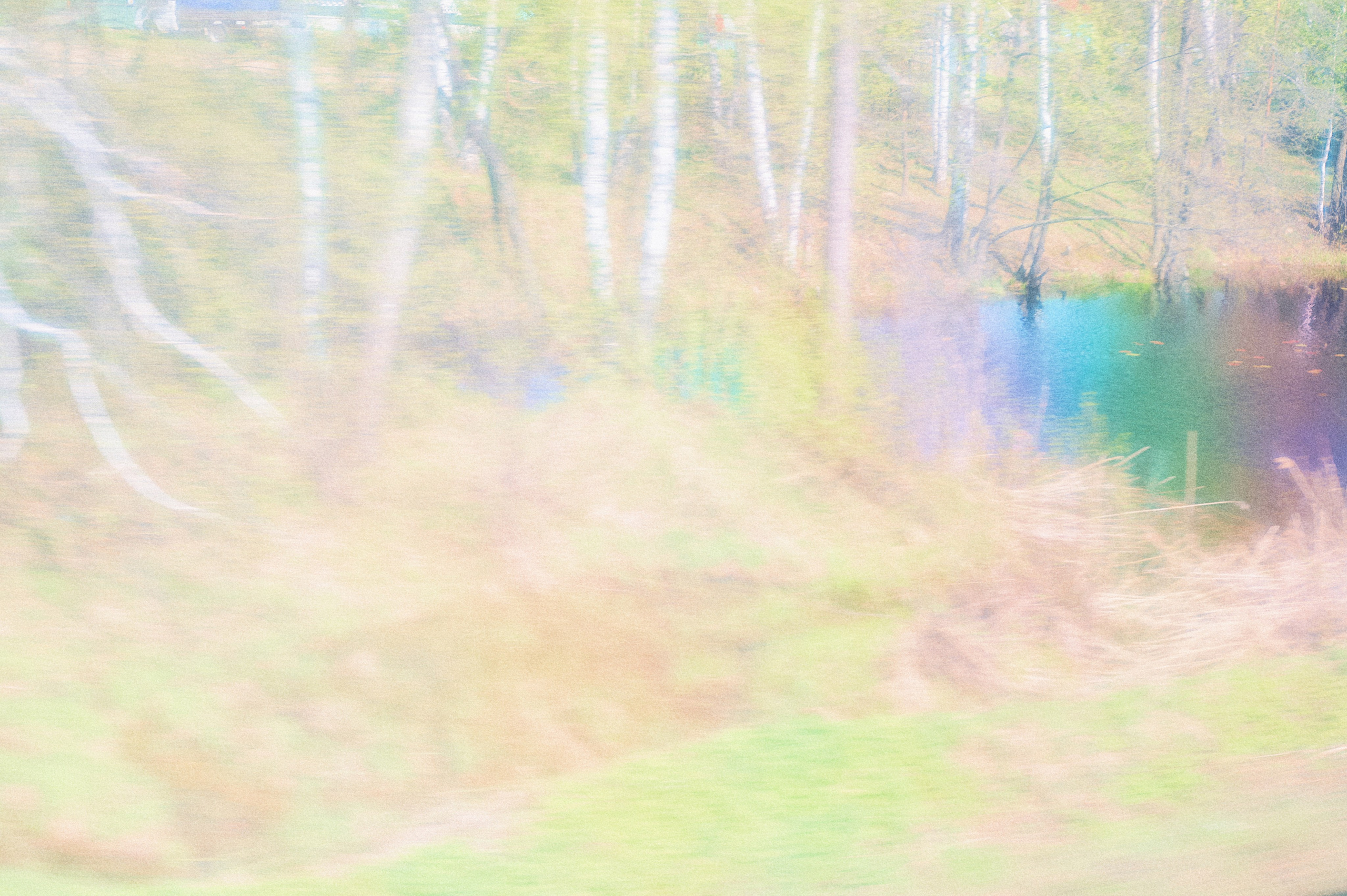 Share a Whisper. Художественный фотограф в Москве Алексей Сутягин